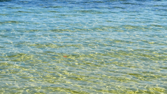 Center for Innovative Medicine - Doctor in Honolulu, HI