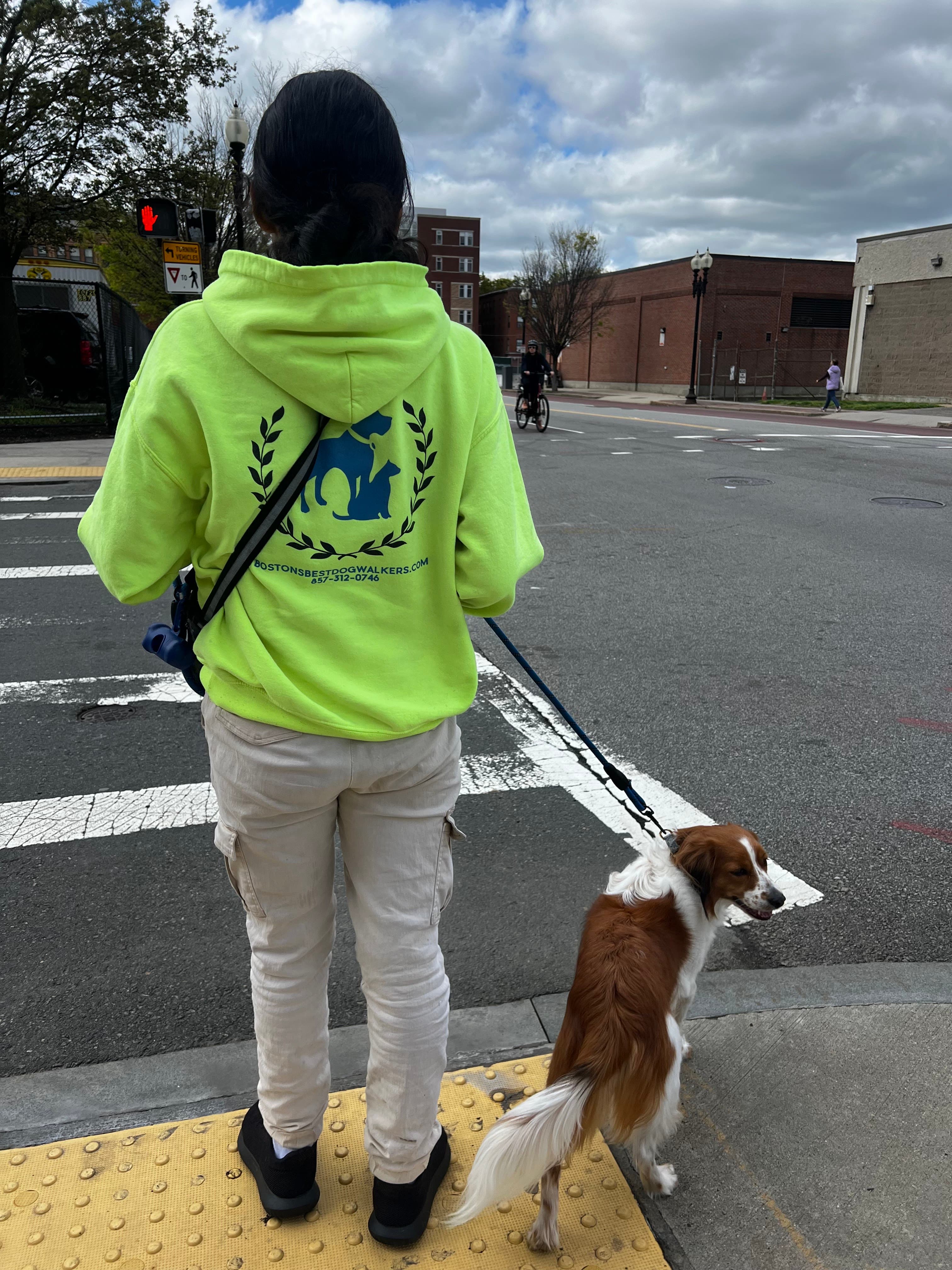 Dog City by Bostons Best Dog Walkers and Pet Services - Pet groomer in Boston, MA