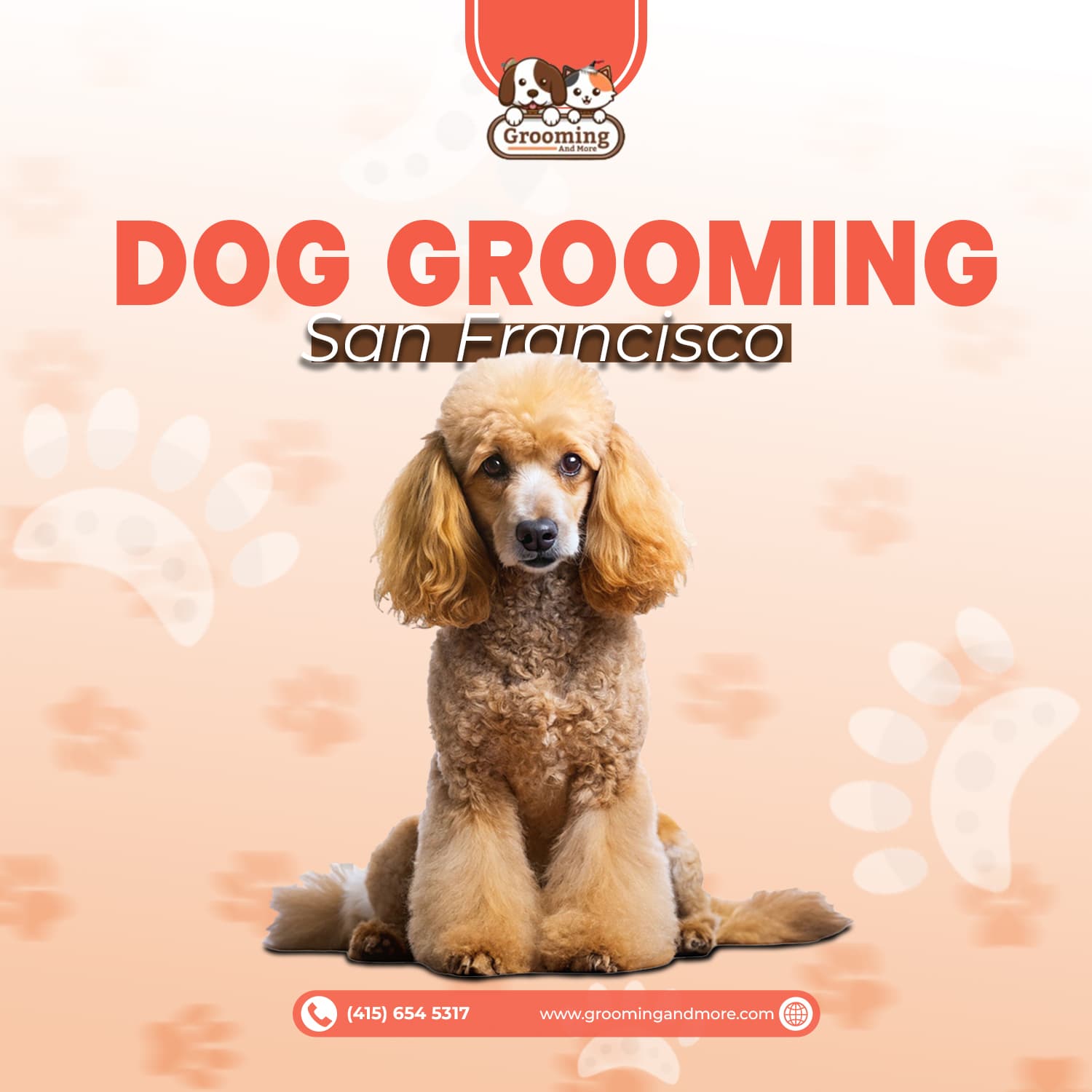 Grooming and More - Pet groomer in San Francisco, CA