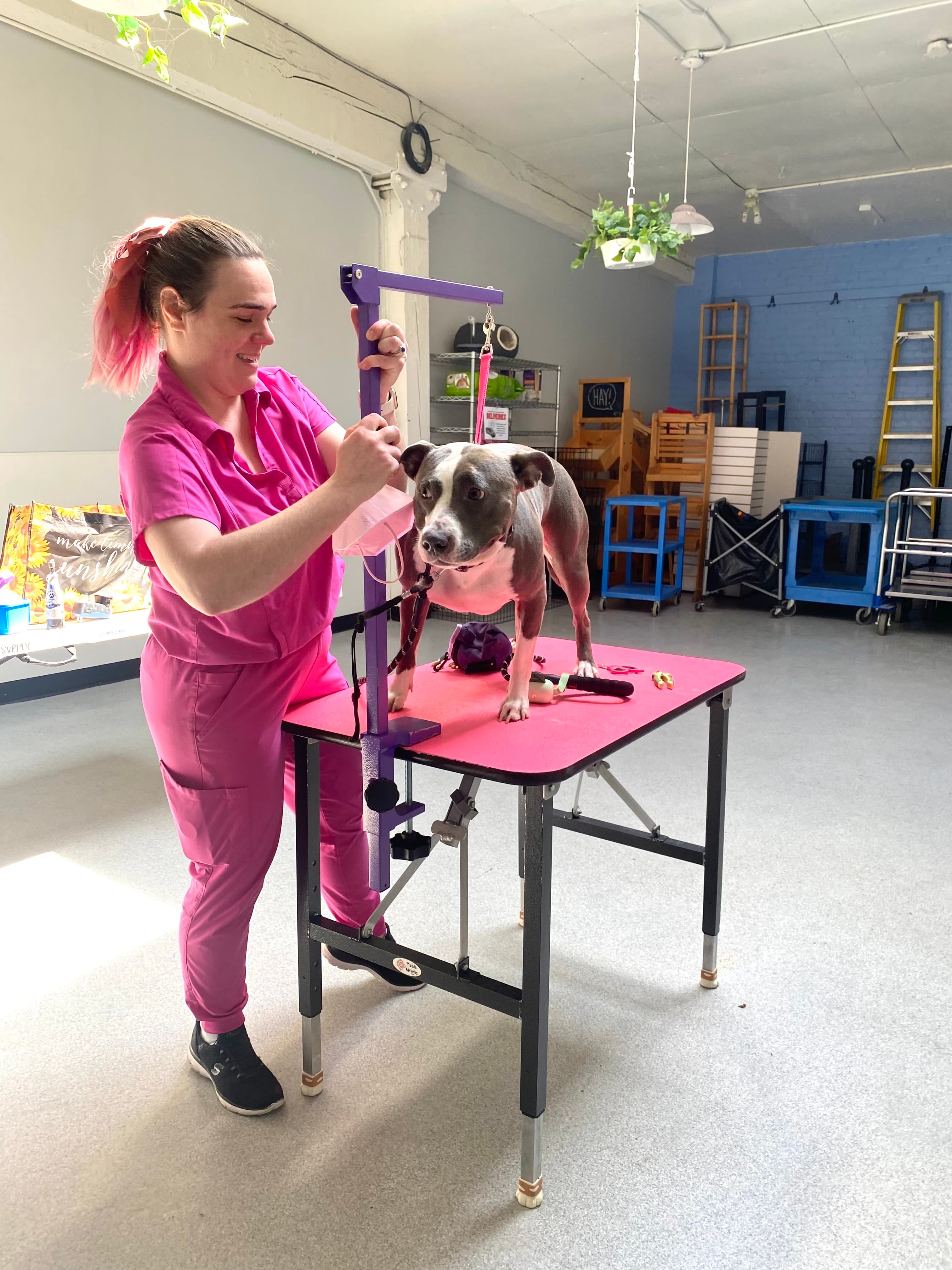 Urban Tails Pet Supply - Pet groomer in Minneapolis, MN