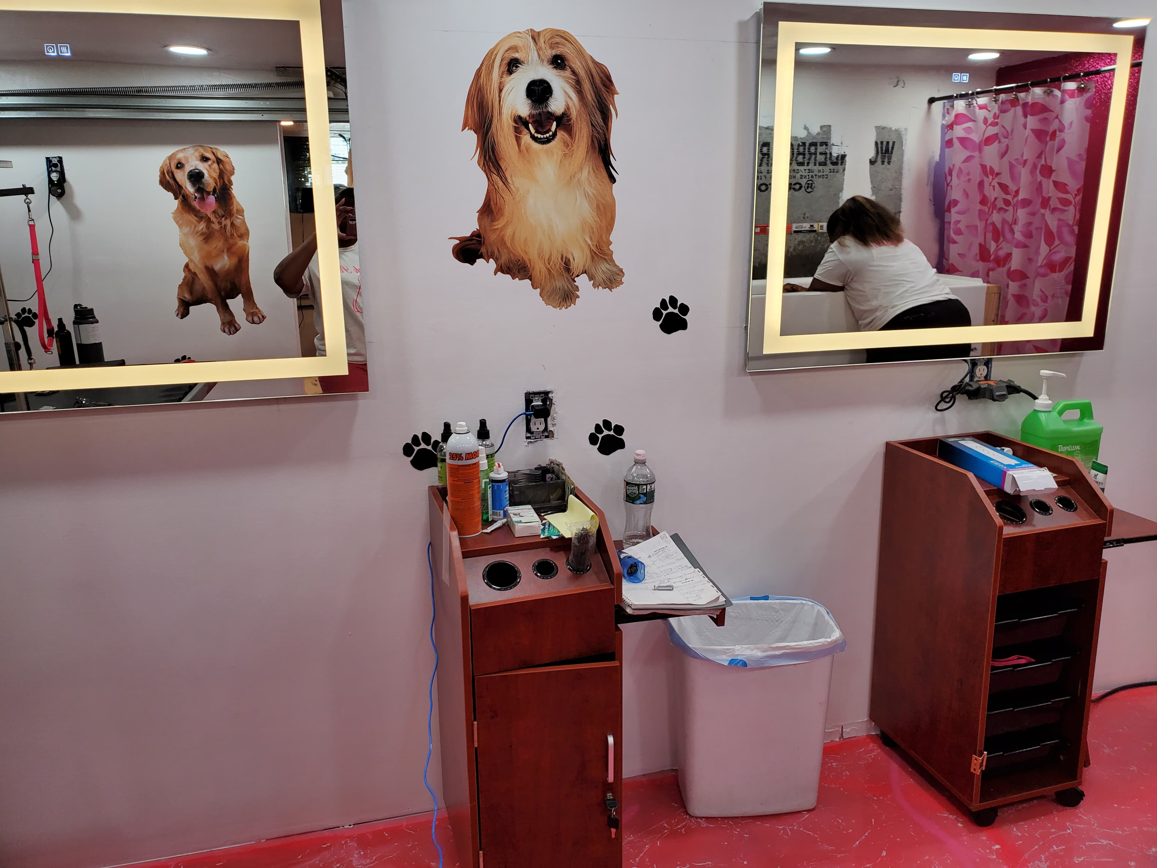 Le Pink Pooch Dog And Cat Grooming Salon LLC - Pet groomer in Philadelphia, PA