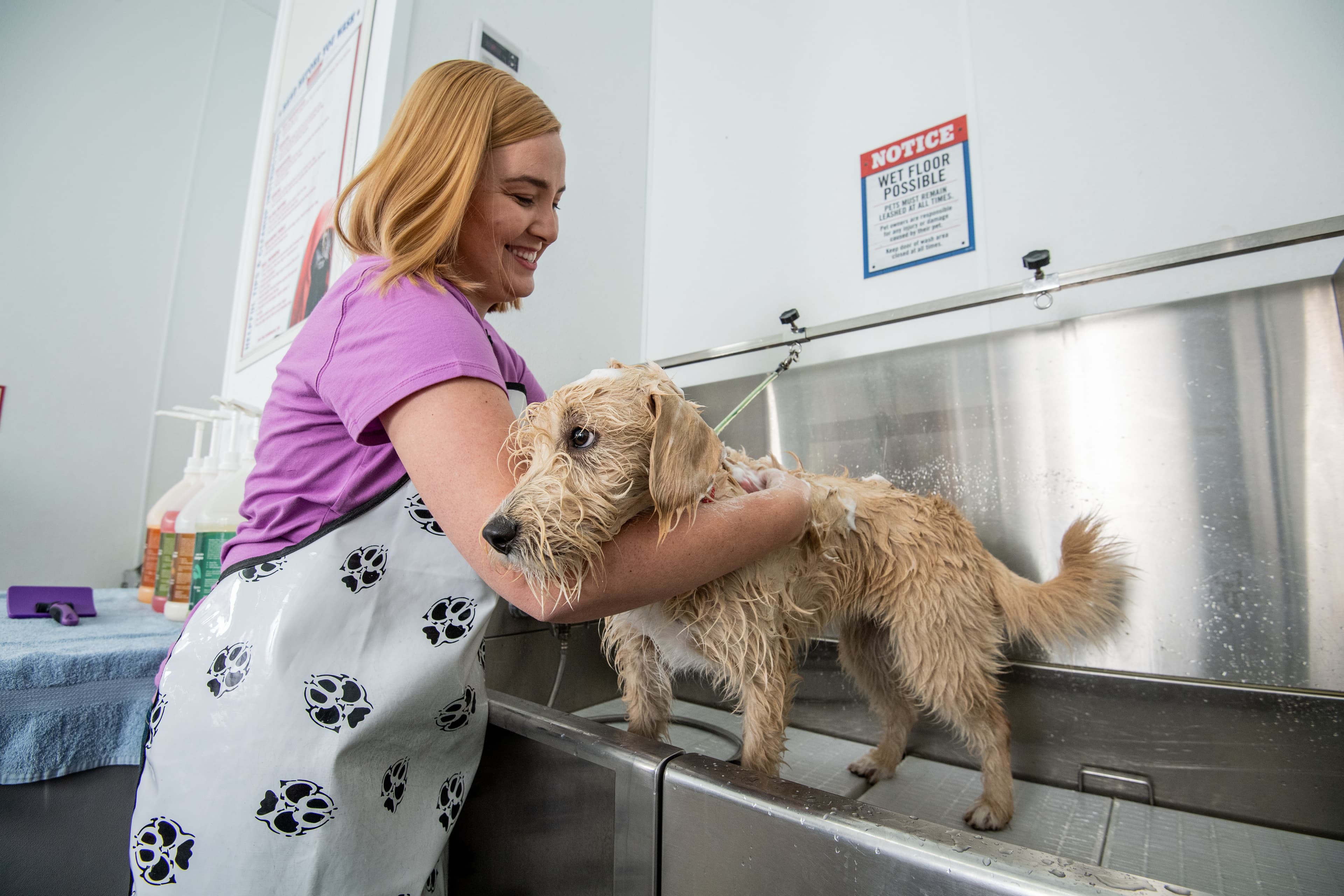 Pet Wash Station at Tractor Supply - Pet groomer in Murfreesboro, TN