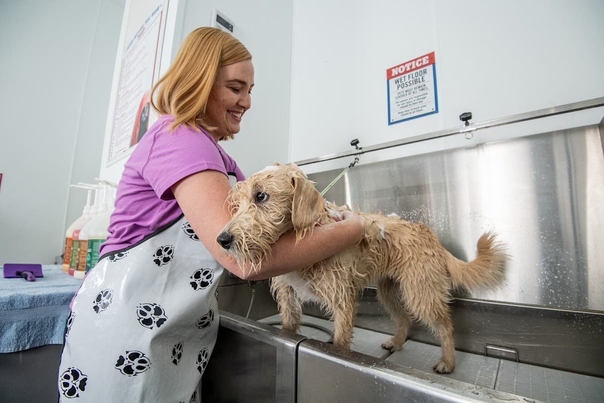Pet Wash Station at Tractor Supply - Pet groomer in Murfreesboro, TN