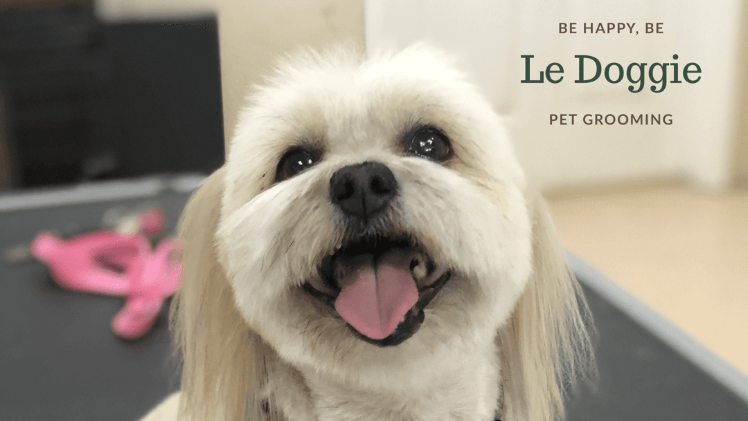 Le Doggie Pet Grooming - Pet groomer in Phoenix, AZ