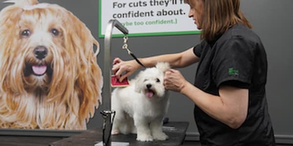 Pet Supplies Plus Brooklyn - Pet groomer in Brooklyn, OH