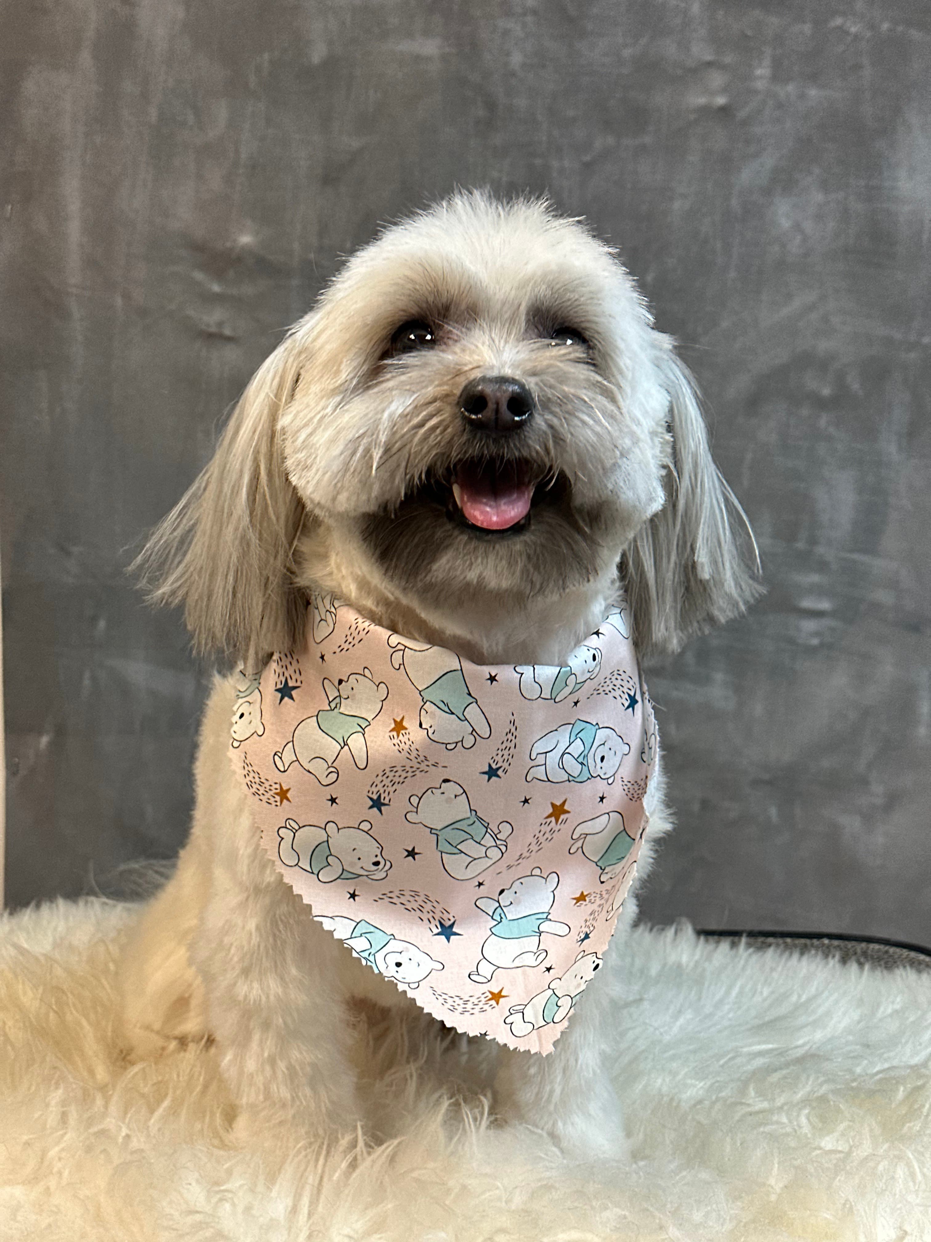 Dalila’s Pet Grooming - Pet groomer in Jackson Heights, NY