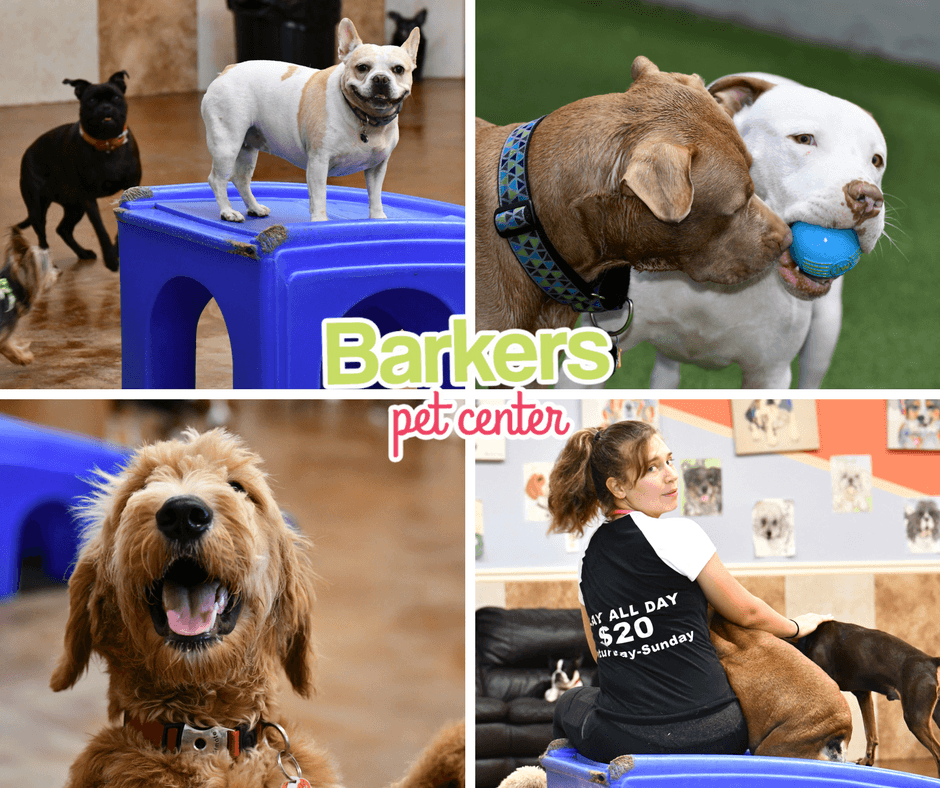 The Barker's Pet Center - Pet groomer in Fort Lauderdale, FL