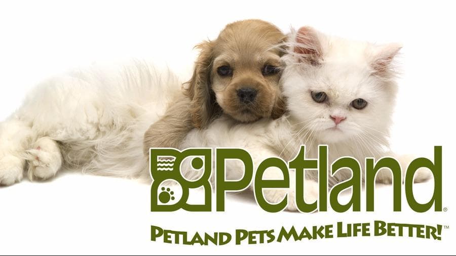 Petland Village of Eastside - Pet groomer in Pittsburgh, PA