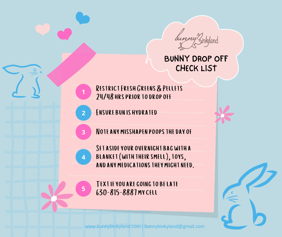 Bunny Binkyland Rabbit Resort - Pet groomer in Aurora, IL