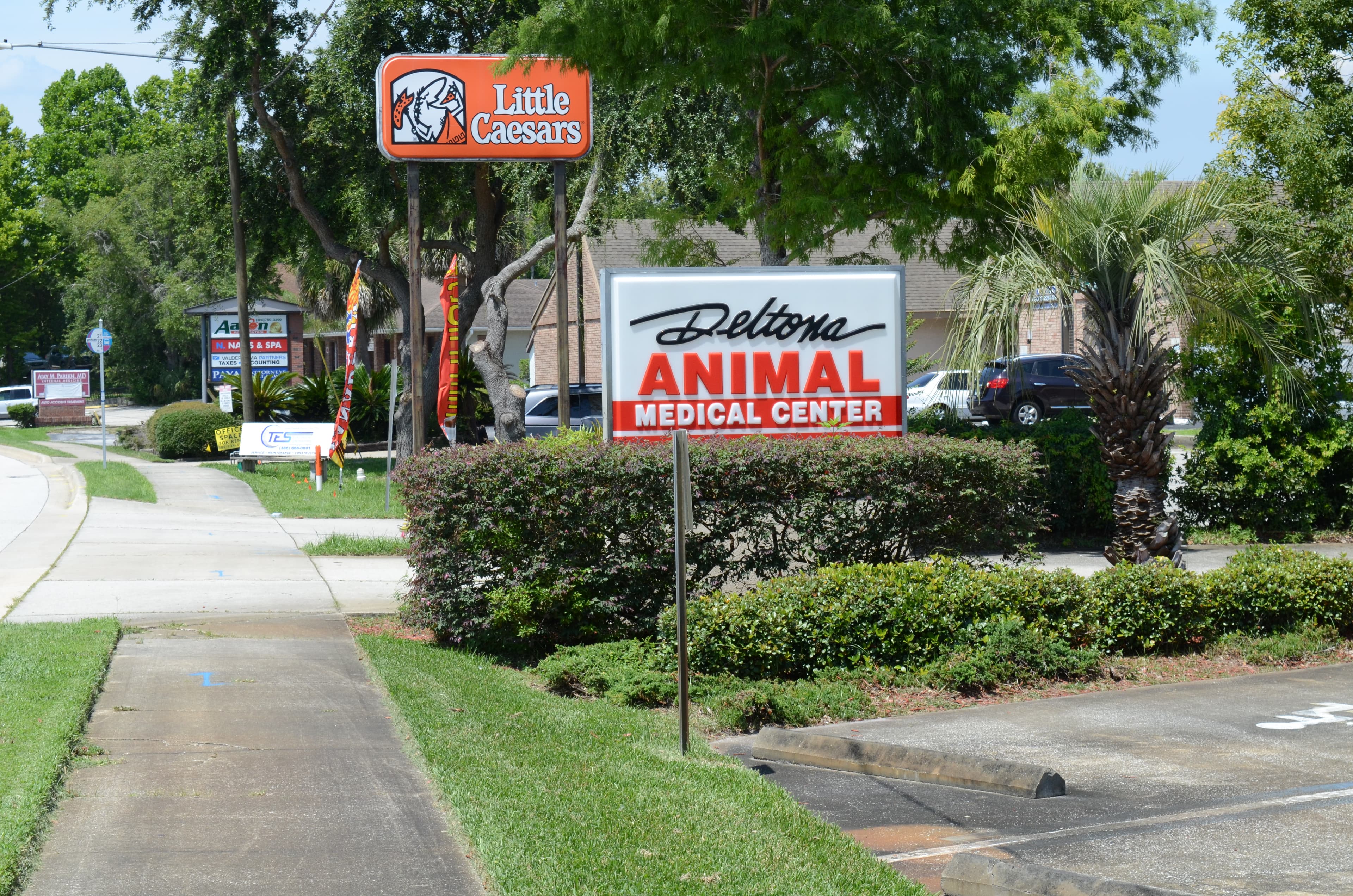Deltona Animal Medical Center - Doctor in Deltona, FL