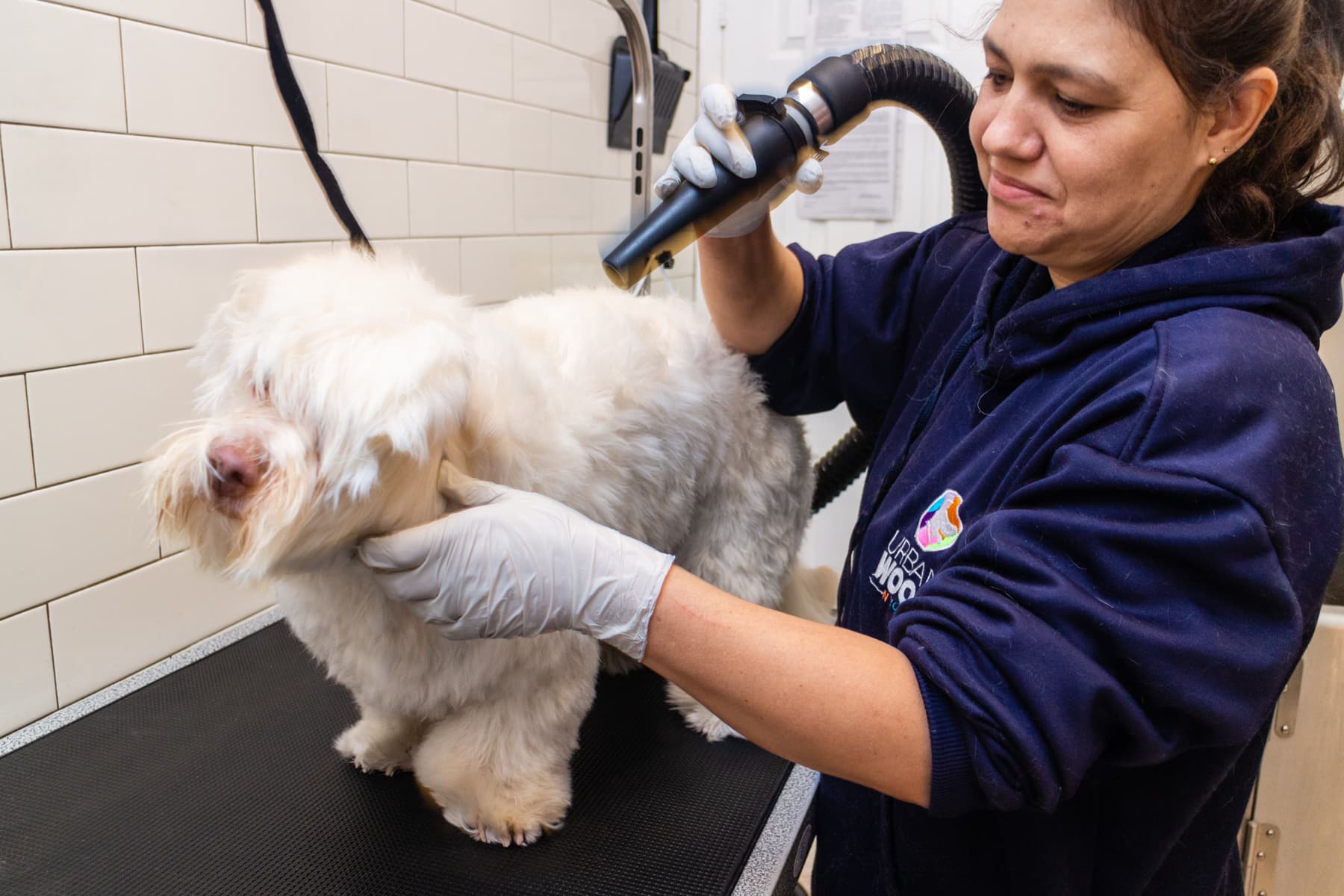 Urban Woof NYC - 78th - Pet groomer in New York, NY