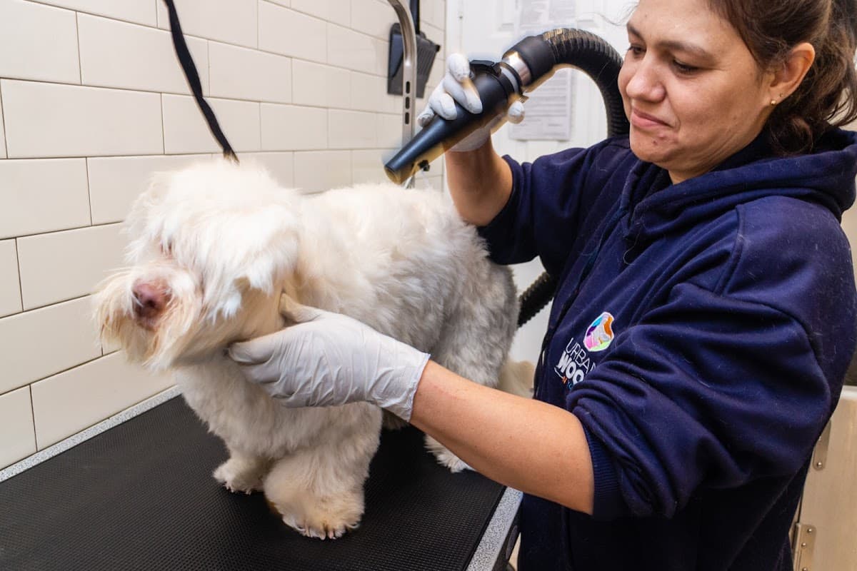 Urban Woof NYC - 78th - Pet groomer in New York, NY