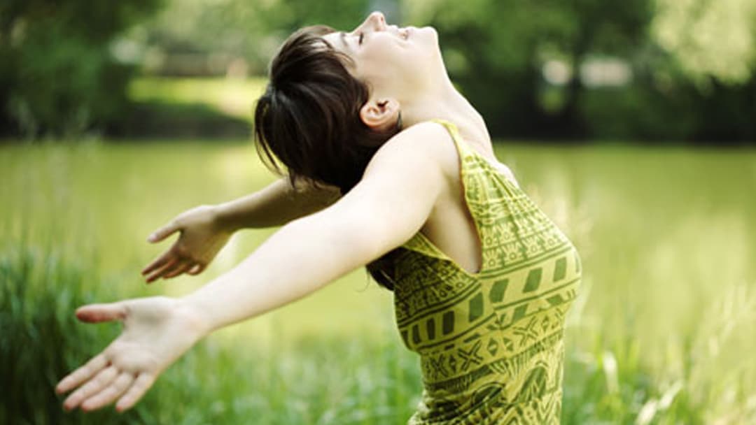 Sprandel Chiropractic Clinic - Doctor in Canton, OH