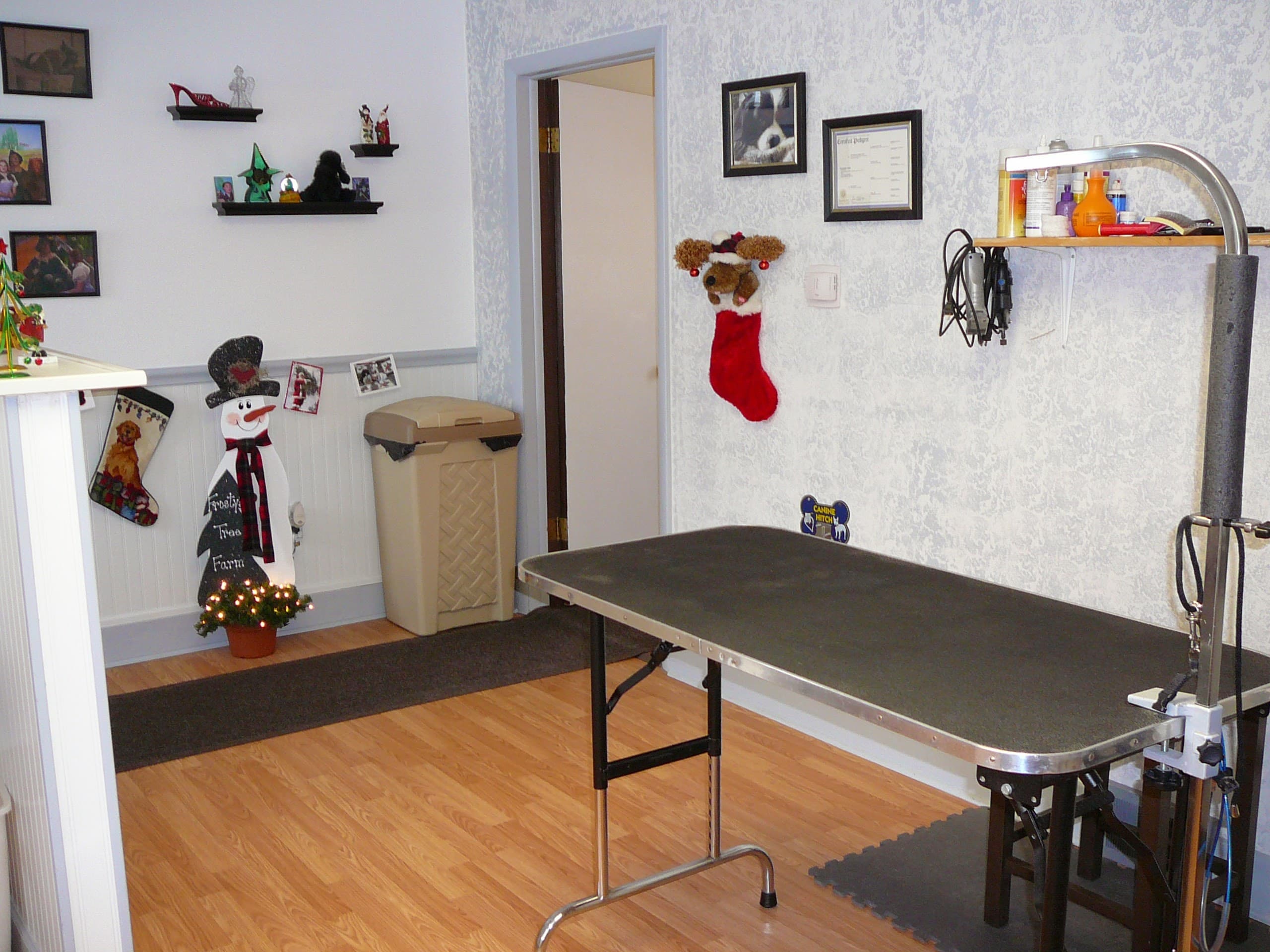 Wizard of Paws - Pet groomer in Erie, PA