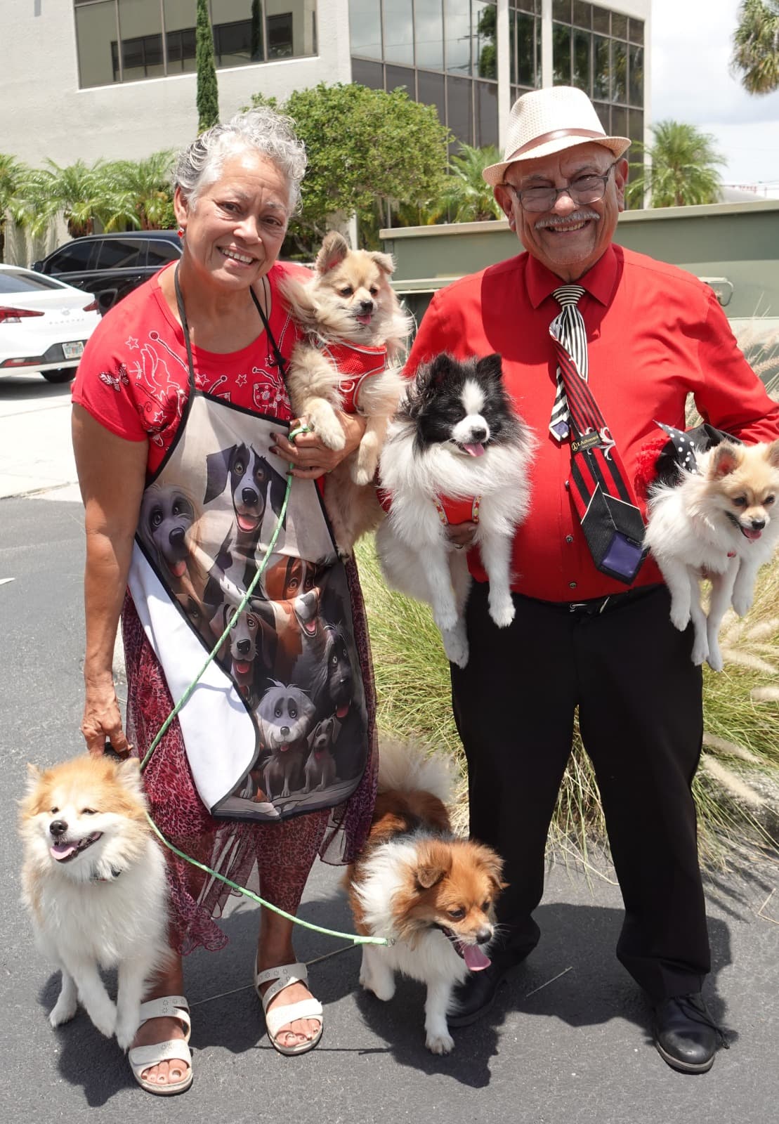 Candys Pet Spa - Pet groomer in Tampa, FL