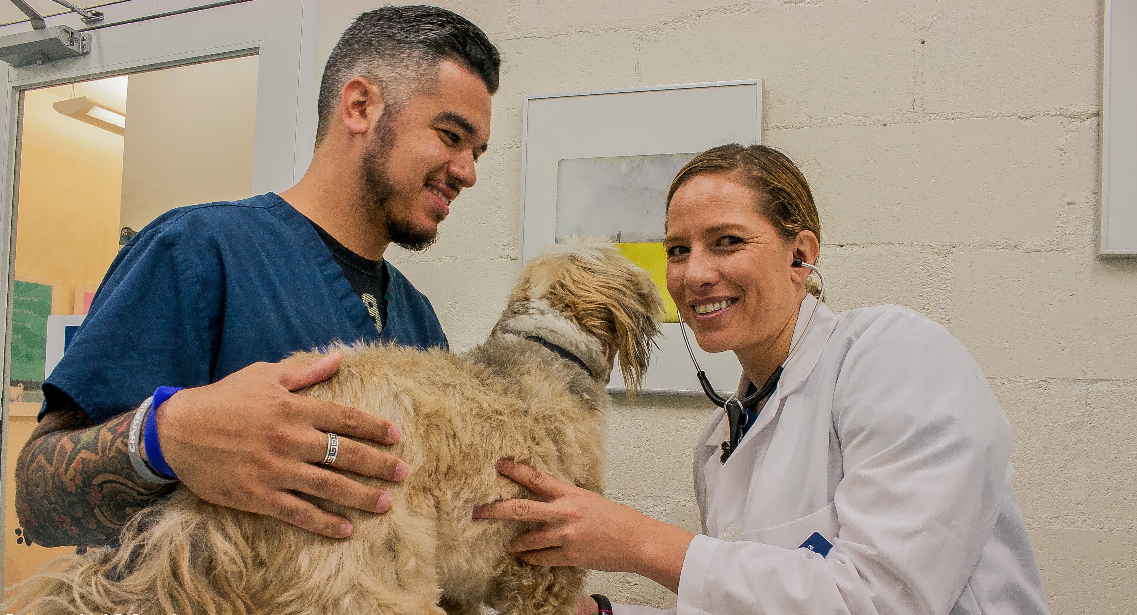 Biscuits & Bath - Greenwich Village - Pet groomer in New York, NY