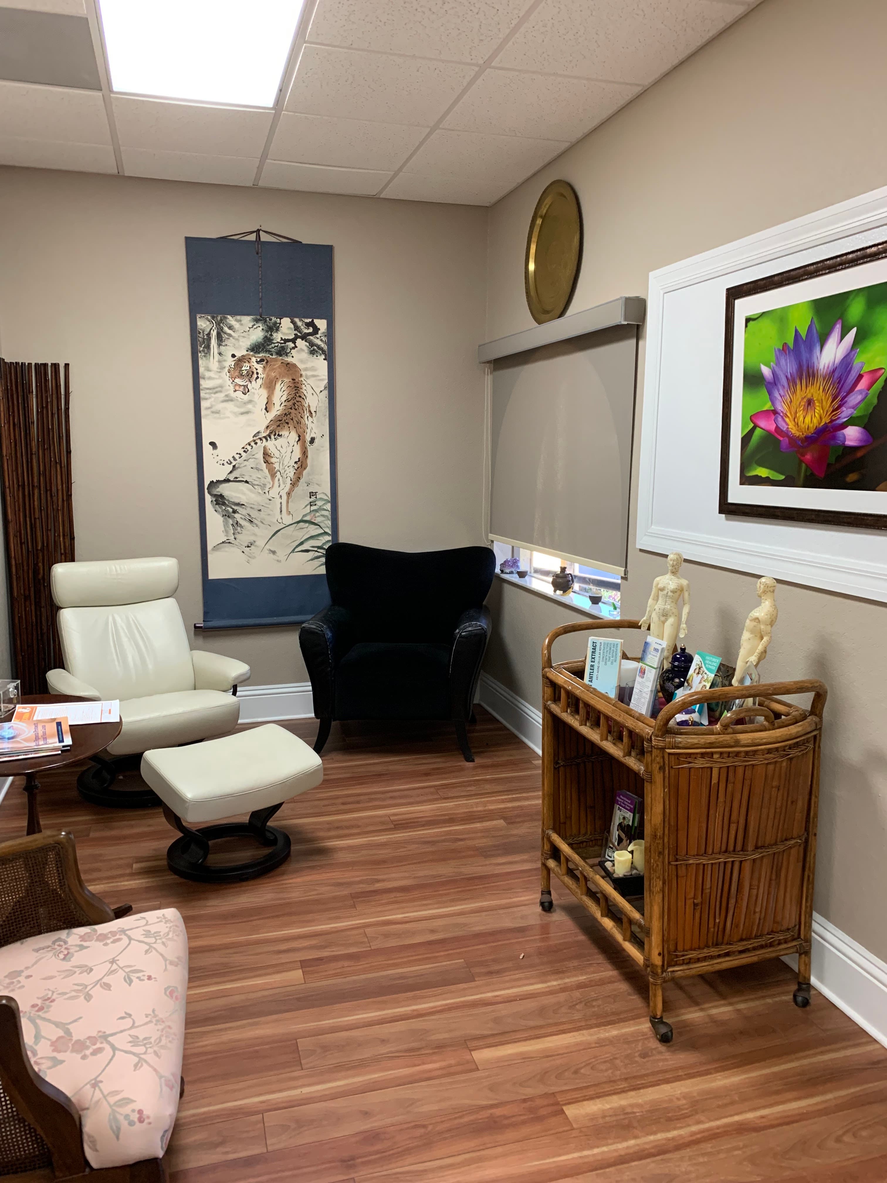 Acupuncture Plus Holistic Center - Doctor in Spring Hill, FL