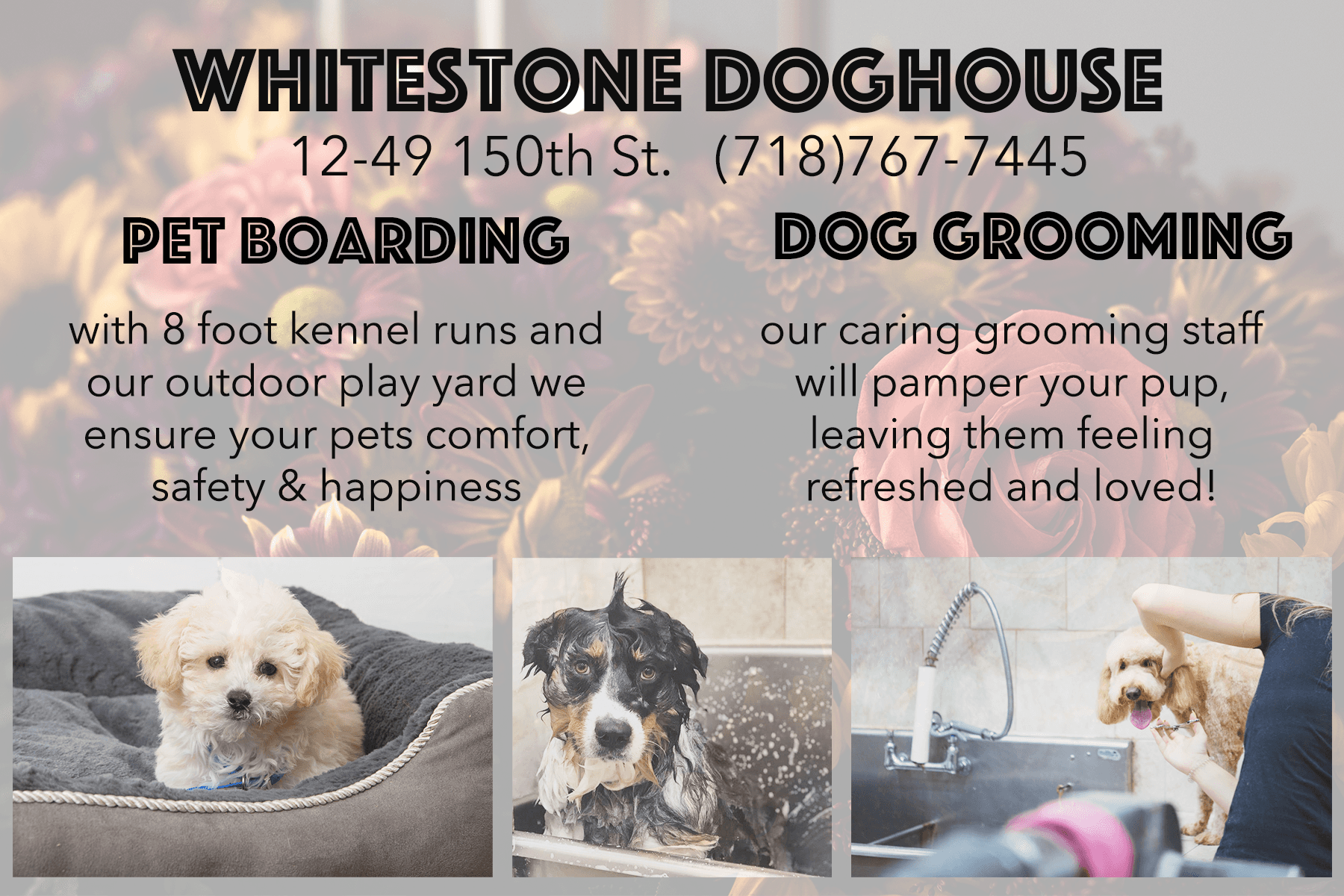 Whitestone Doghouse - Pet groomer in Whitestone, NY