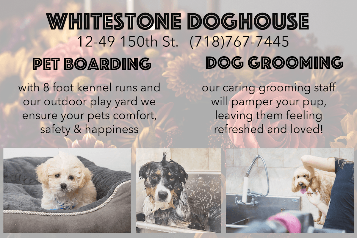 Whitestone Doghouse - Pet groomer in Whitestone, NY
