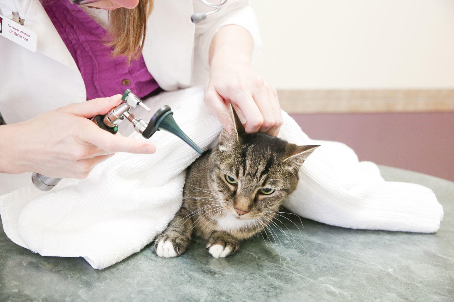 Cat & Dog Hospital of Portland - Pet groomer in Portland, OR