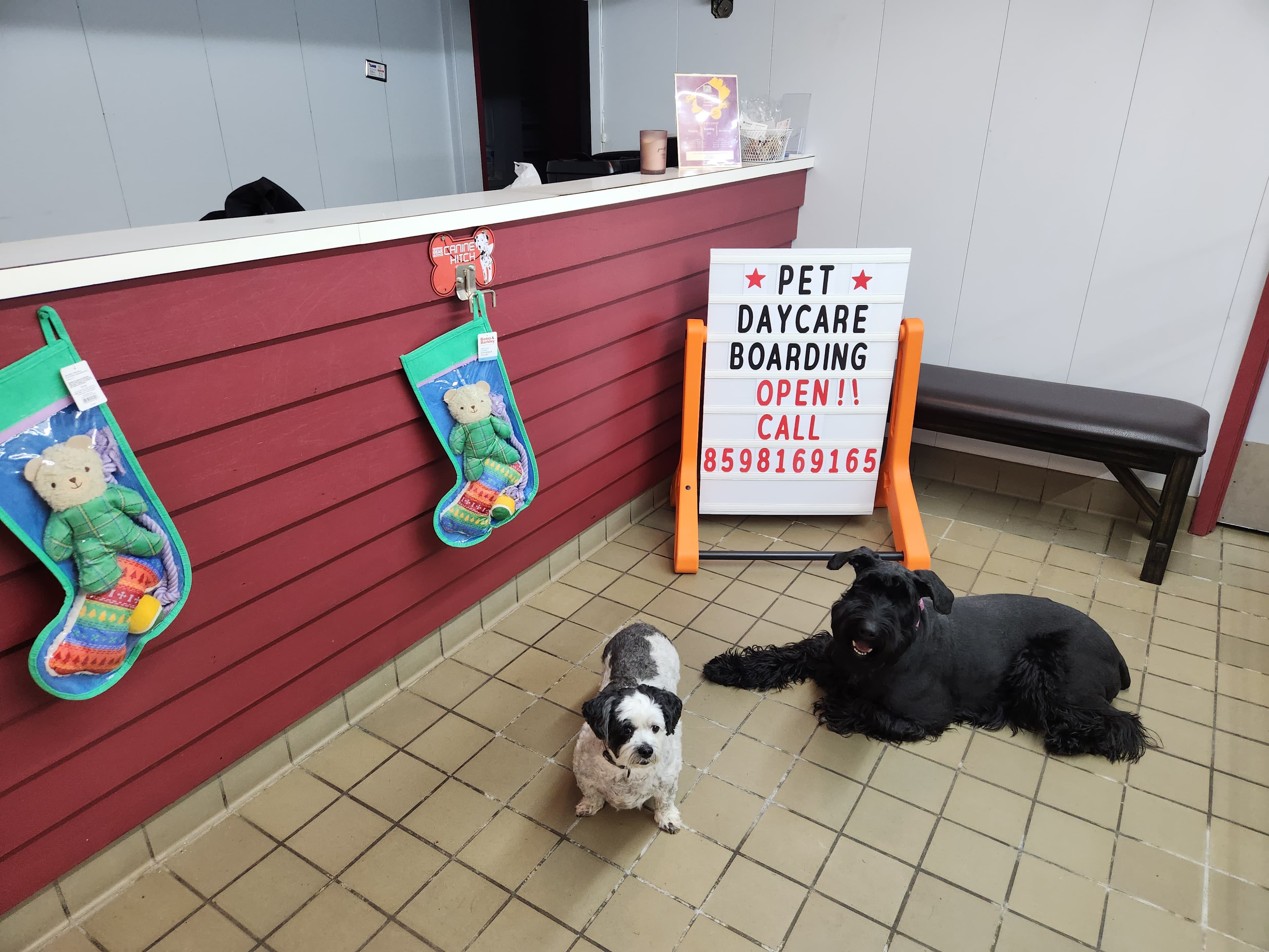 Daily Pet Lodge - Pet groomer in Cincinnati, OH