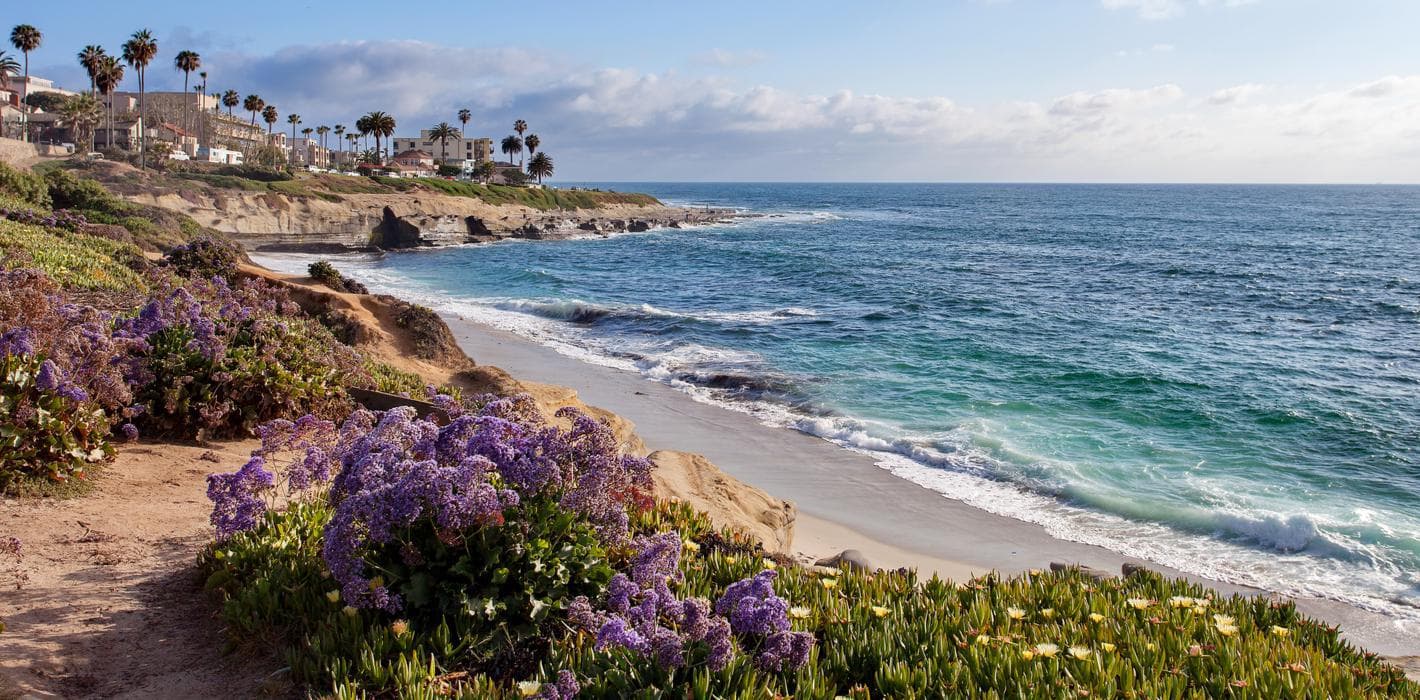 SCENT- Southern California Ear, Nose, and Throat - Doctor in Huntington Beach, CA