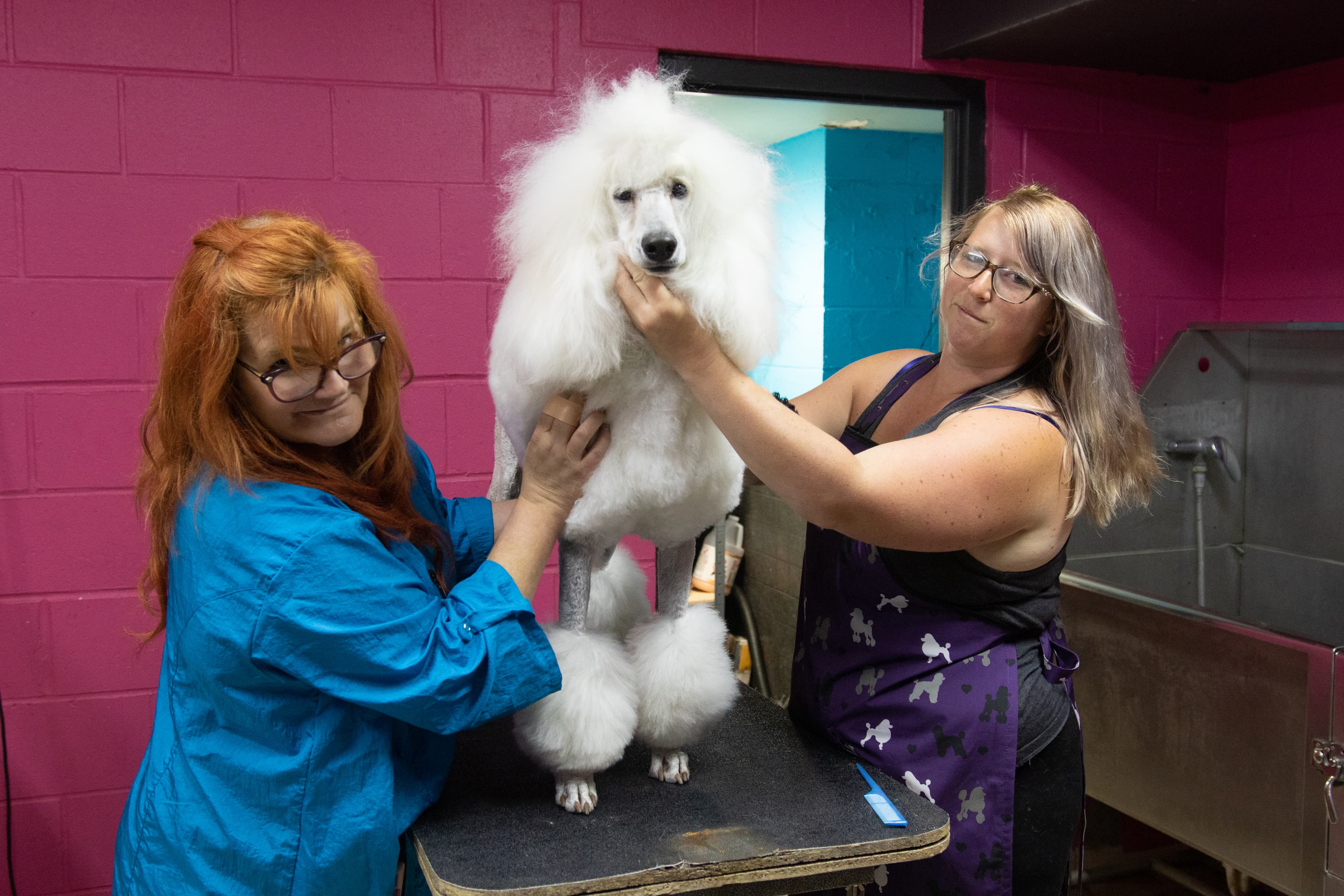 Nora Veterinary Hospital - Pet groomer in Indianapolis, IN
