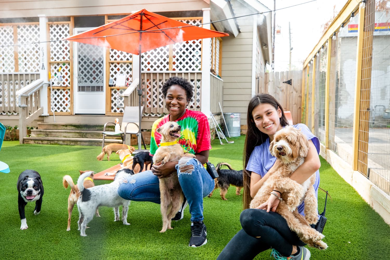 Bone on the Bayou - Pet groomer in Houston, TX