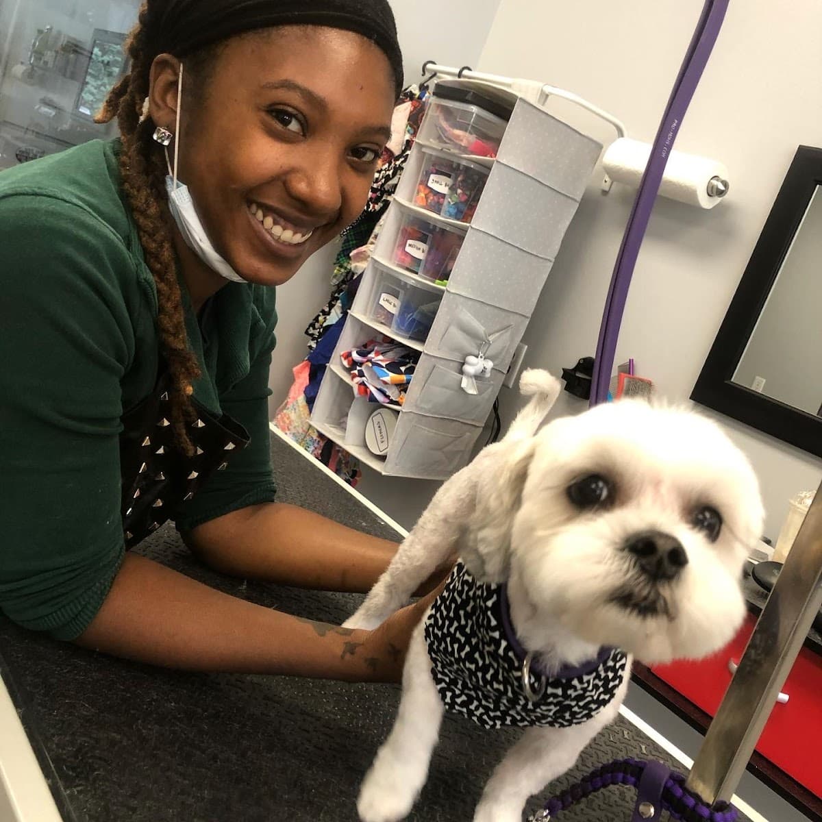 Ruff-N-Roll Fur Studio - Pet groomer in Fishers, IN