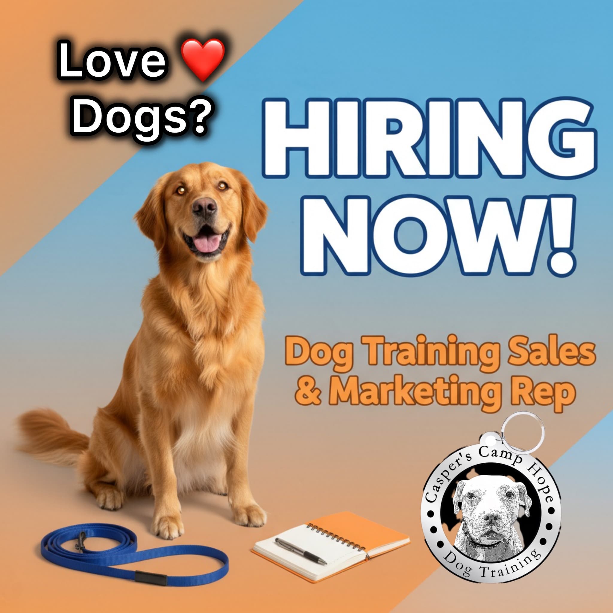 Casper's Camp Hope Gainesville Dog Training - Pet groomer in Gainesville, FL