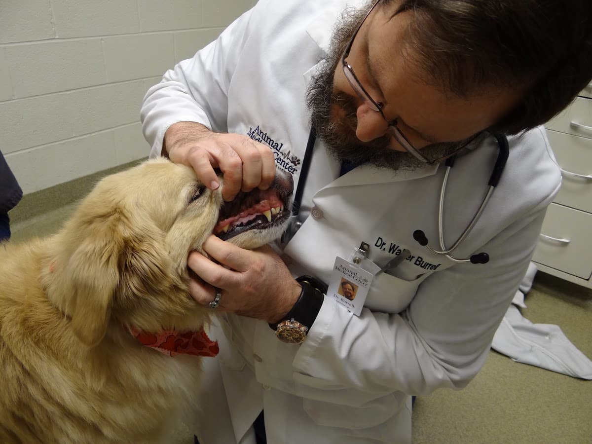 Animal Medical Center of Mid-America - St. Louis City - Pet groomer in St. Louis, MO
