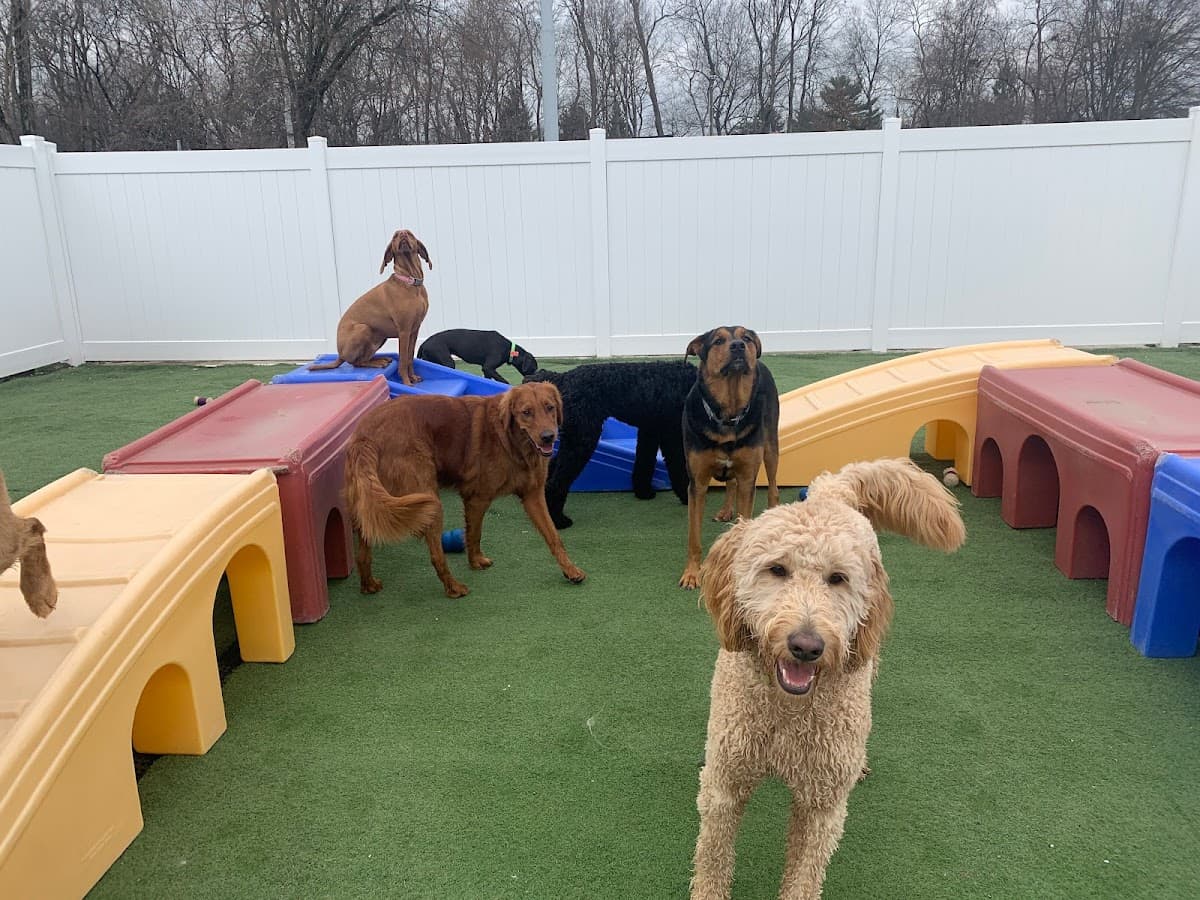 Lucky Dog Retreat - Montgomery - Pet groomer in Montgomery, OH