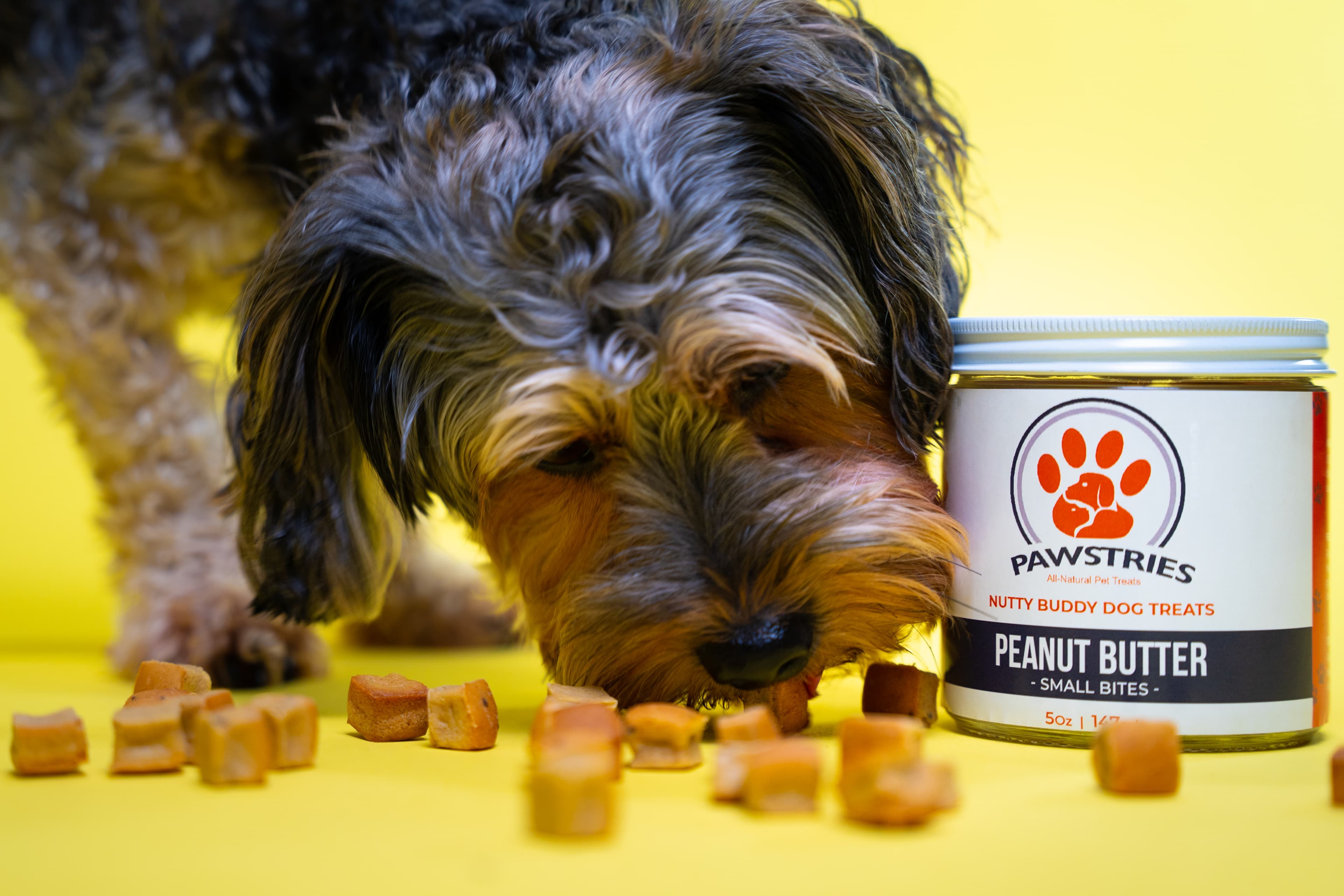 Pawstries - Pet groomer in Detroit, MI