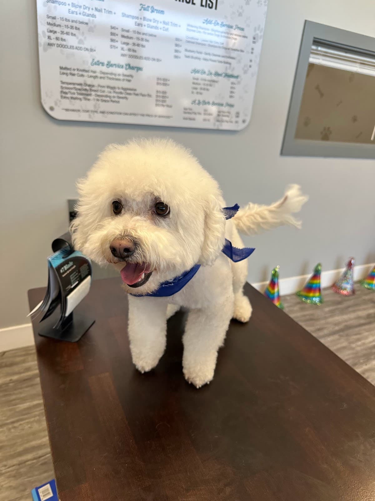 Sunshine Pet Grooming Laveen - Pet groomer in Laveen Village, AZ