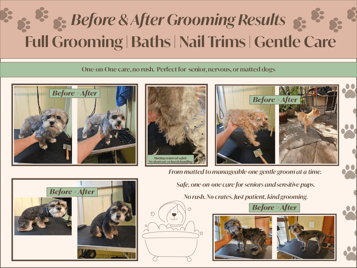 Pet Sit Pro - Pet groomer in Tempe, AZ