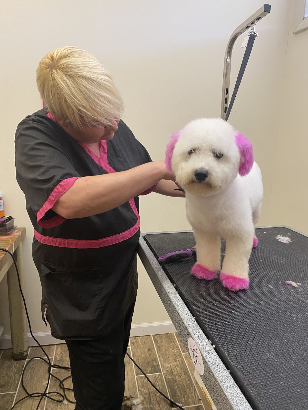 CLEdogs Spa & Social - Pet groomer in Cleveland, OH