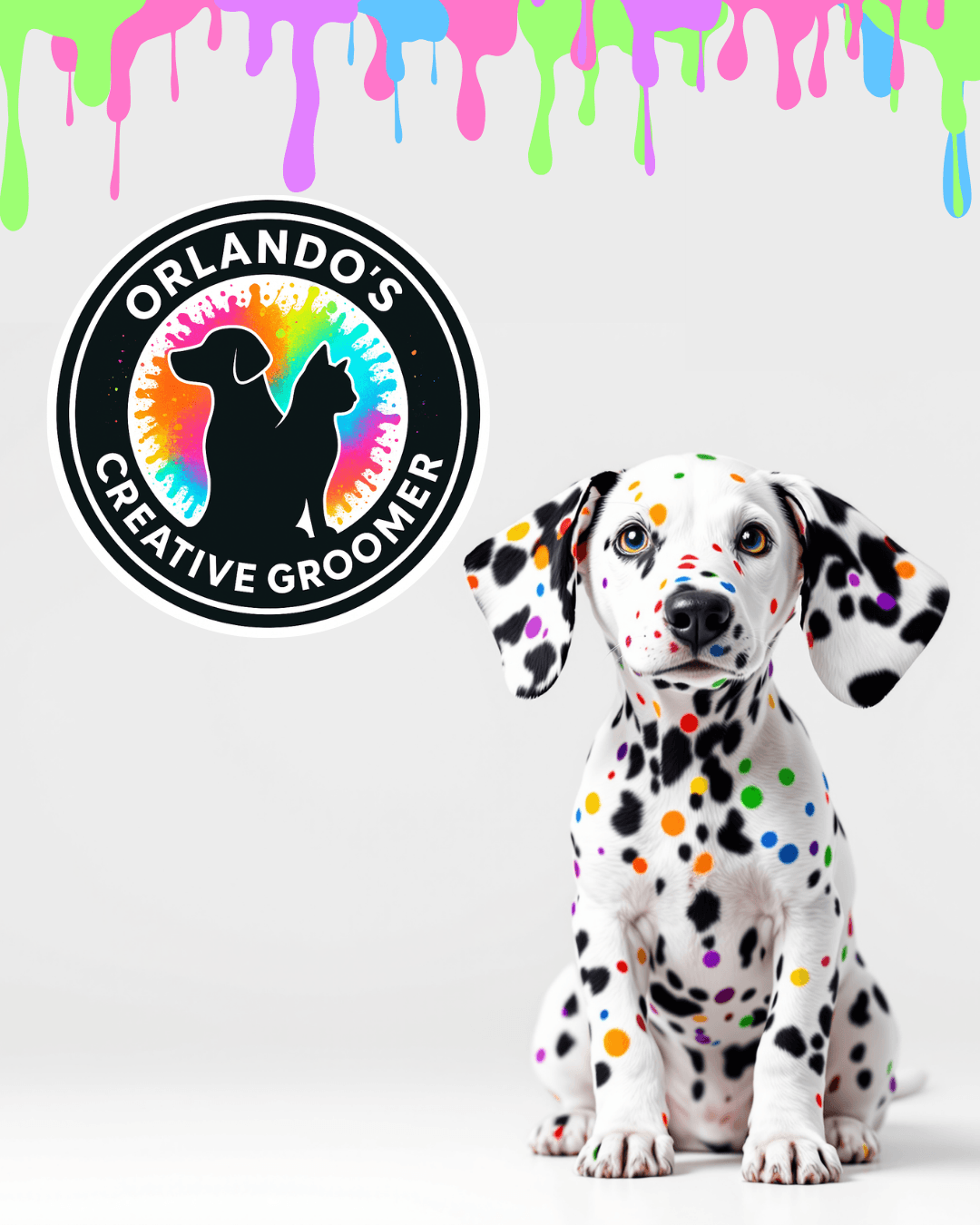 Orlando's Creative Groomer - Pet groomer in Winter Park, FL