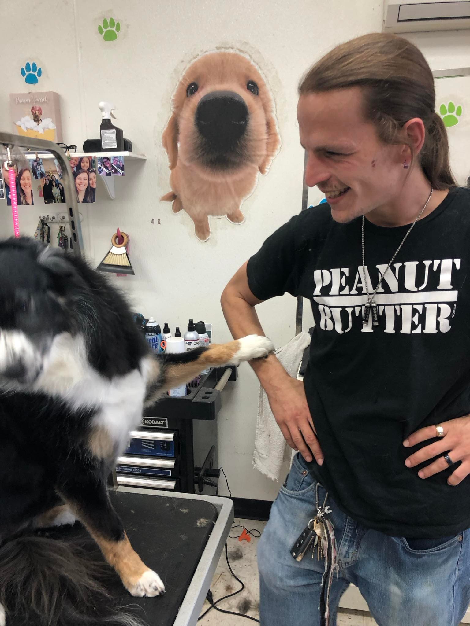 Bark & Purr Pet Grooming - Pet groomer in Glendale, AZ