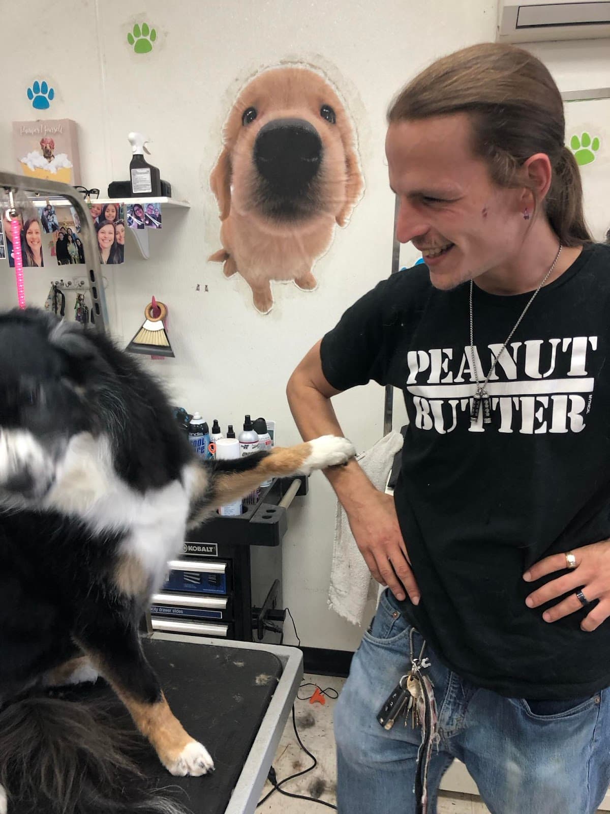 Bark & Purr Pet Grooming - Pet groomer in Glendale, AZ