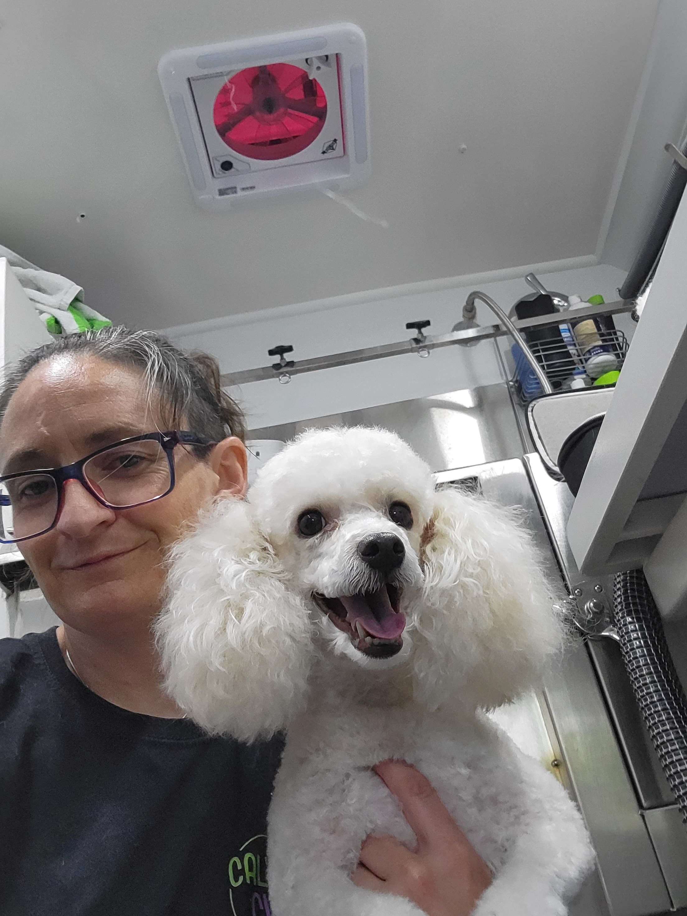 Cal's k9 Clips Mobile Dog Grooming - Pet groomer in Dallas, TX