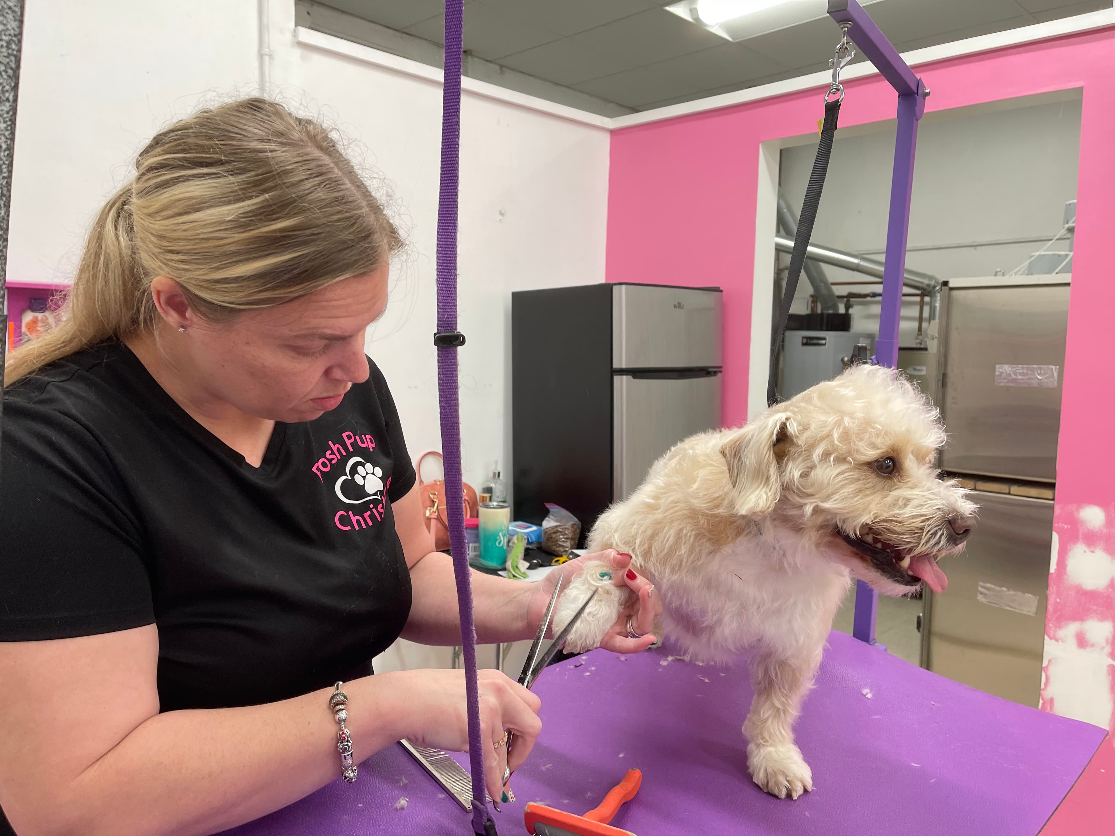 Posh Pup, Inc. - Pet groomer in Livonia, MI