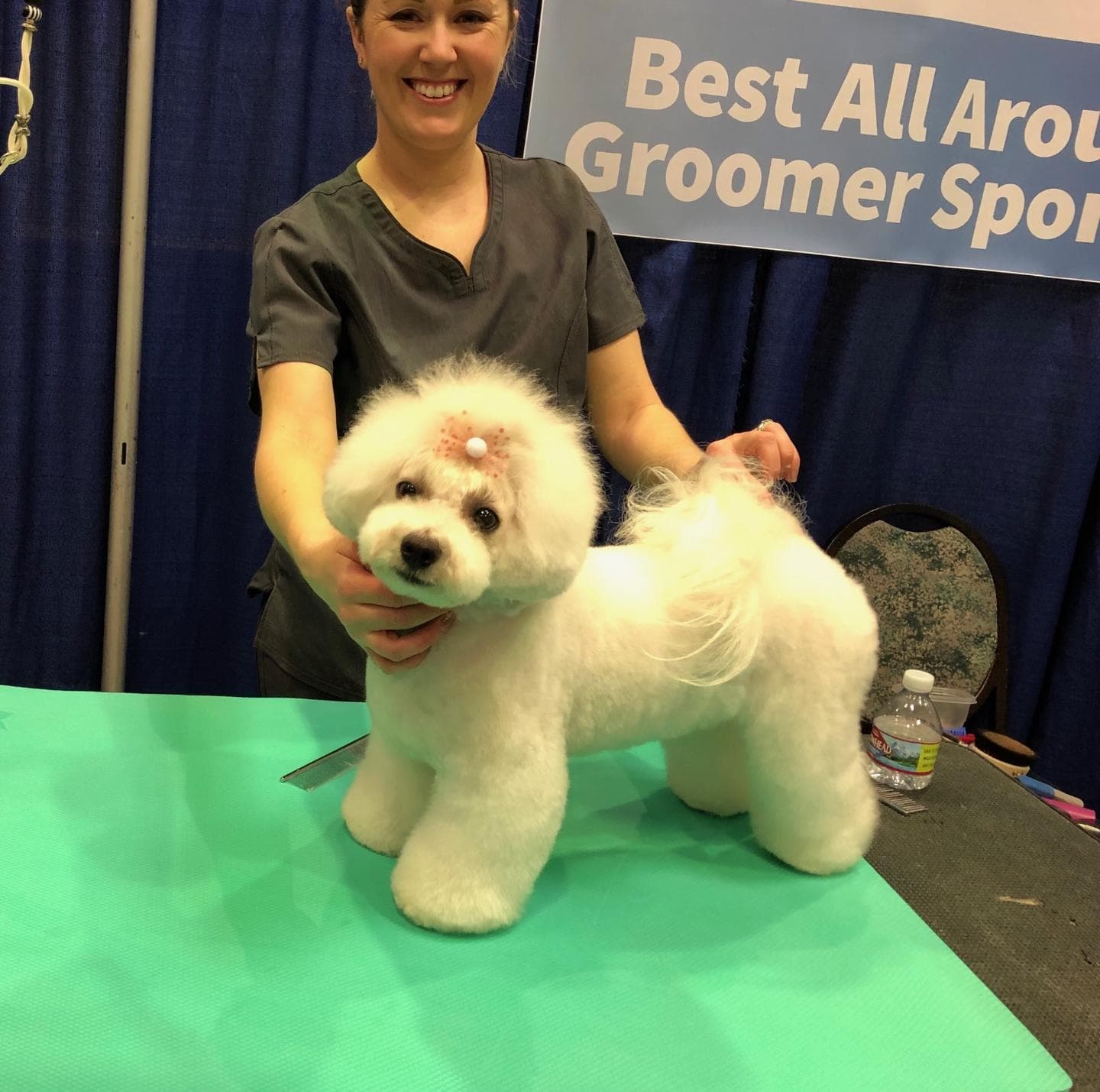 The Groomery-Hair Establishment for Dogs - Pet groomer in Kennewick, WA