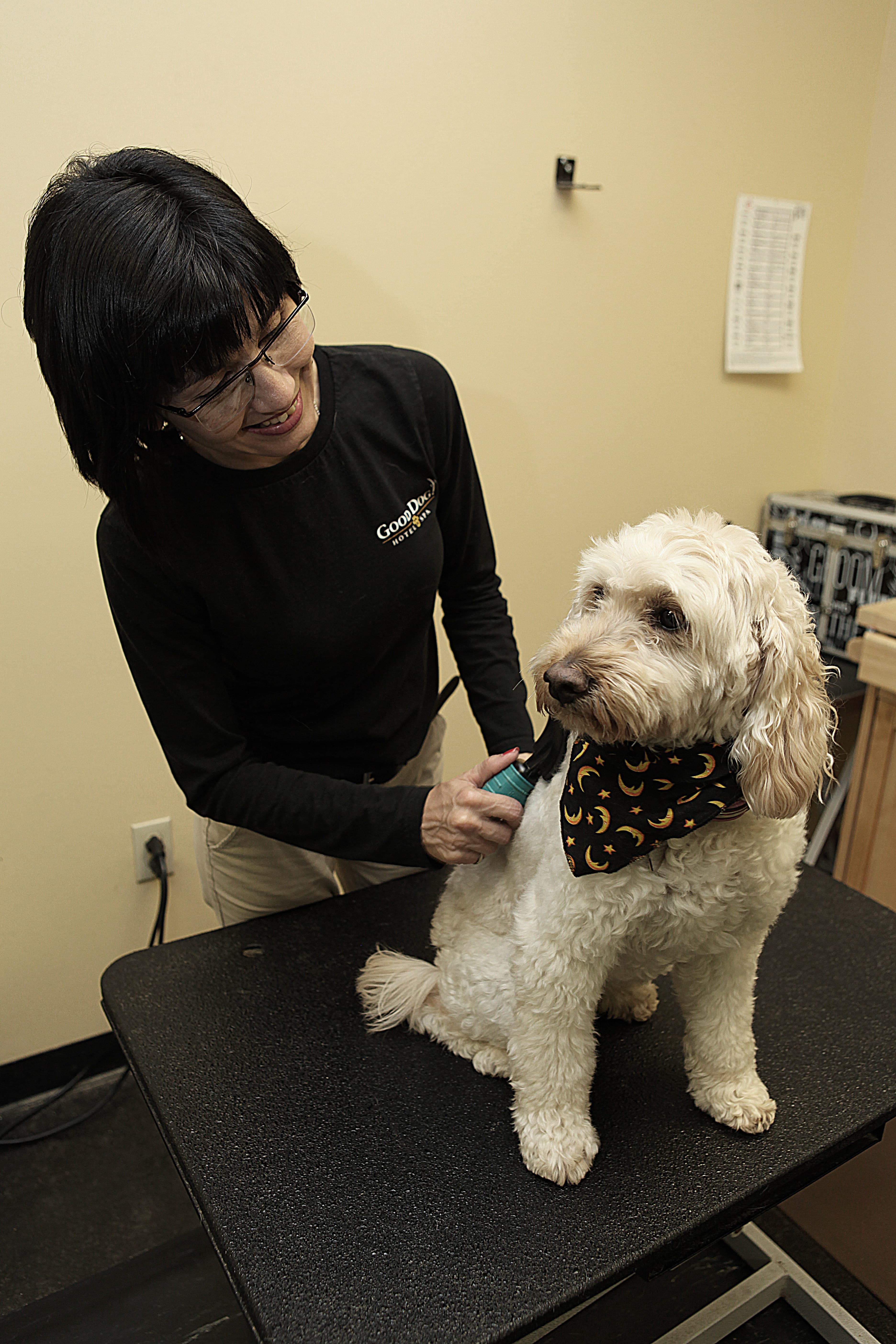Good Dog Hotel & Spa - Pet groomer in Indianapolis, IN