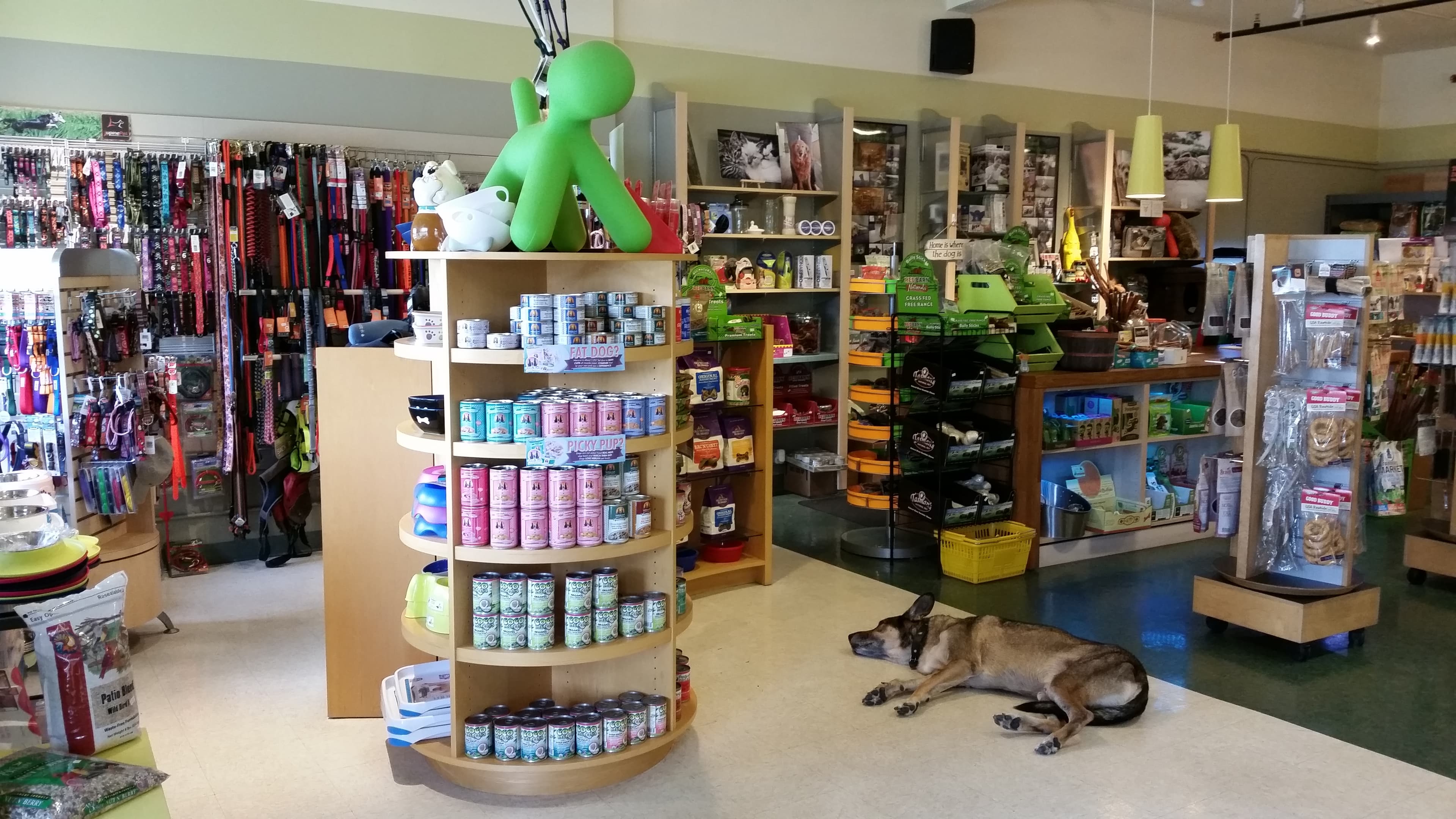 Petropawlis - Pet groomer in St Louis Park, MN