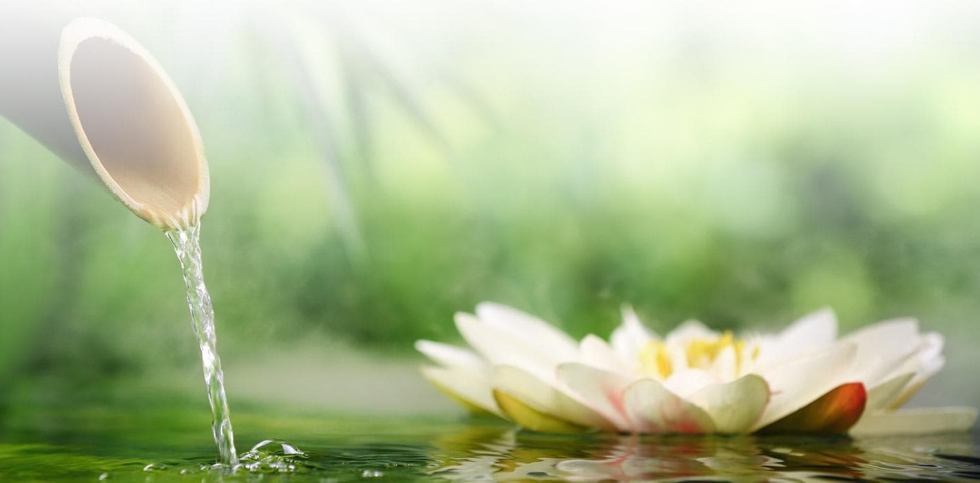 Greensboro OBGYN Associates - Doctor in Greensboro, NC