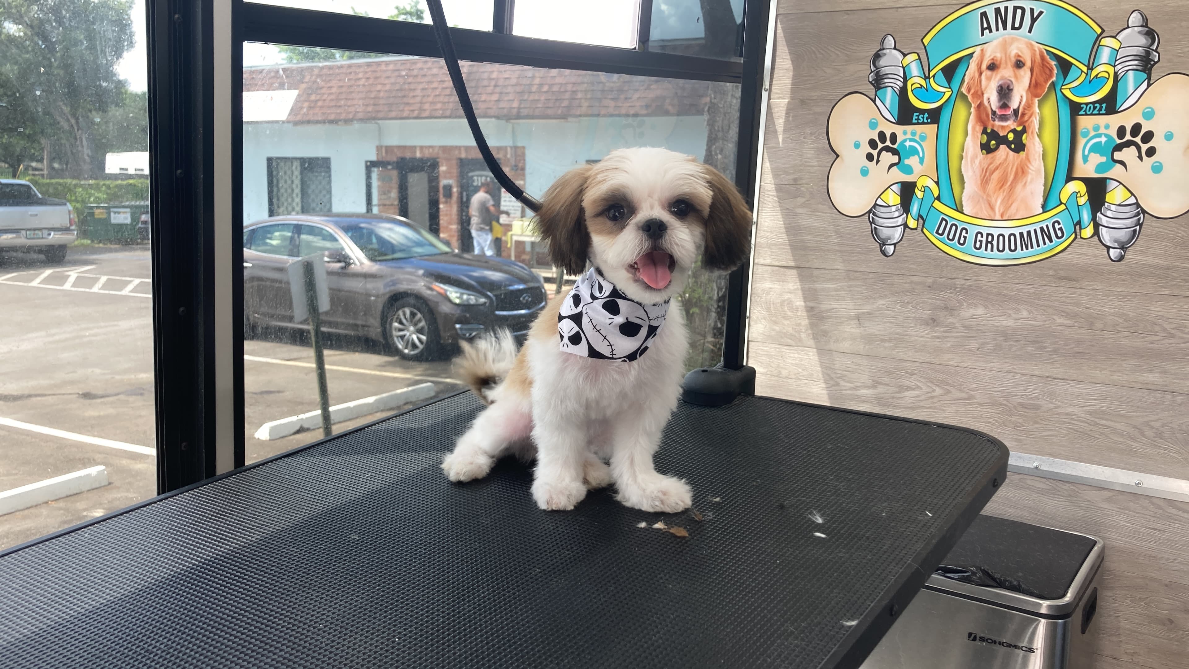 Andy Dog Grooming - Pet groomer in Fort Lauderdale, FL
