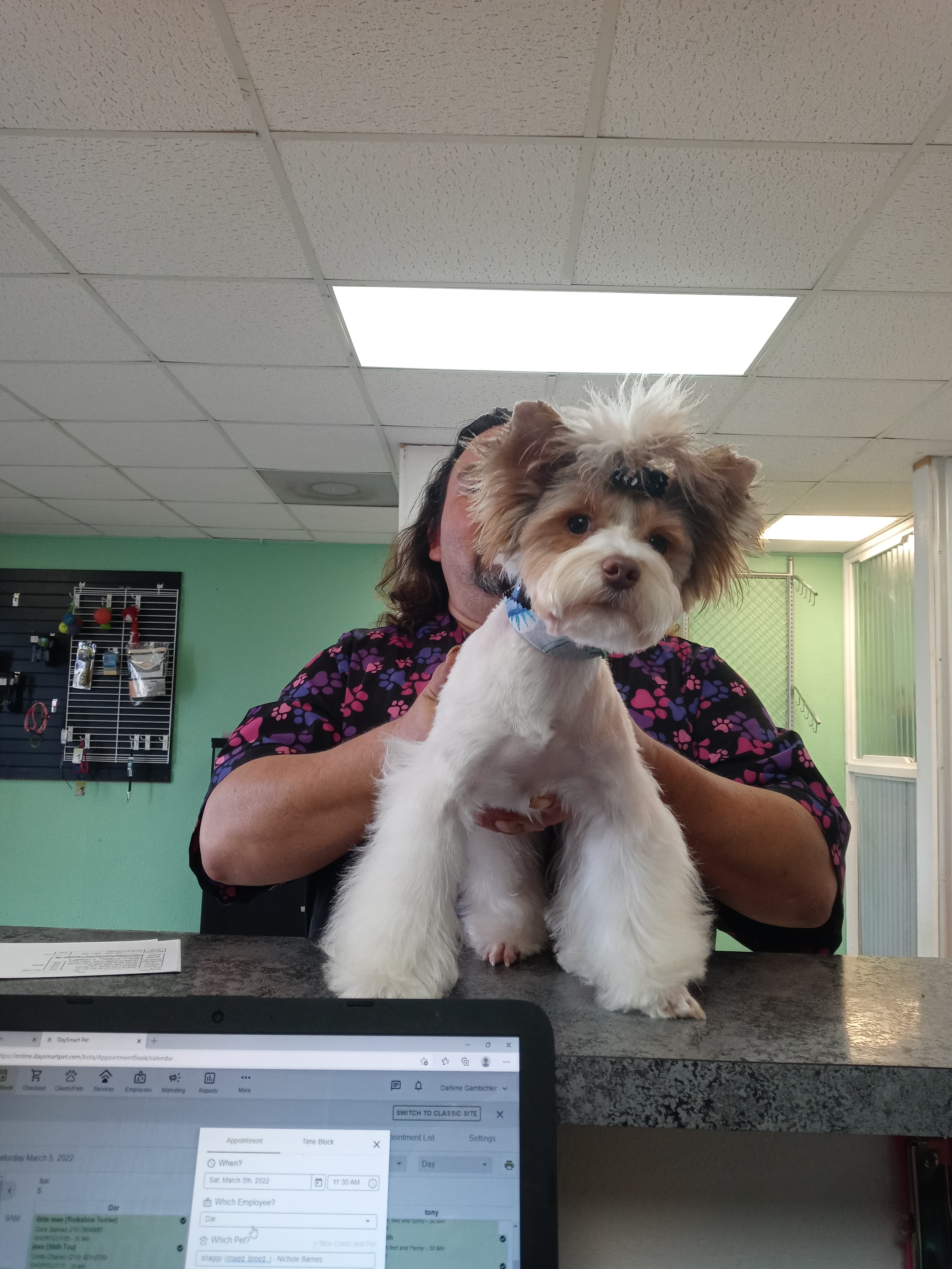 Trendy Pets Grooming Salon - Pet groomer in San Antonio, TX