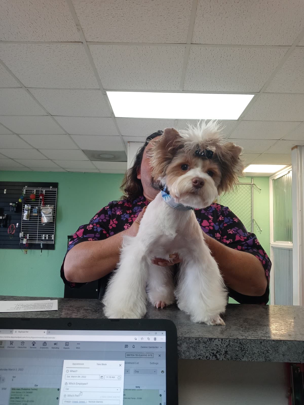 Trendy Pets Grooming Salon - Pet groomer in San Antonio, TX