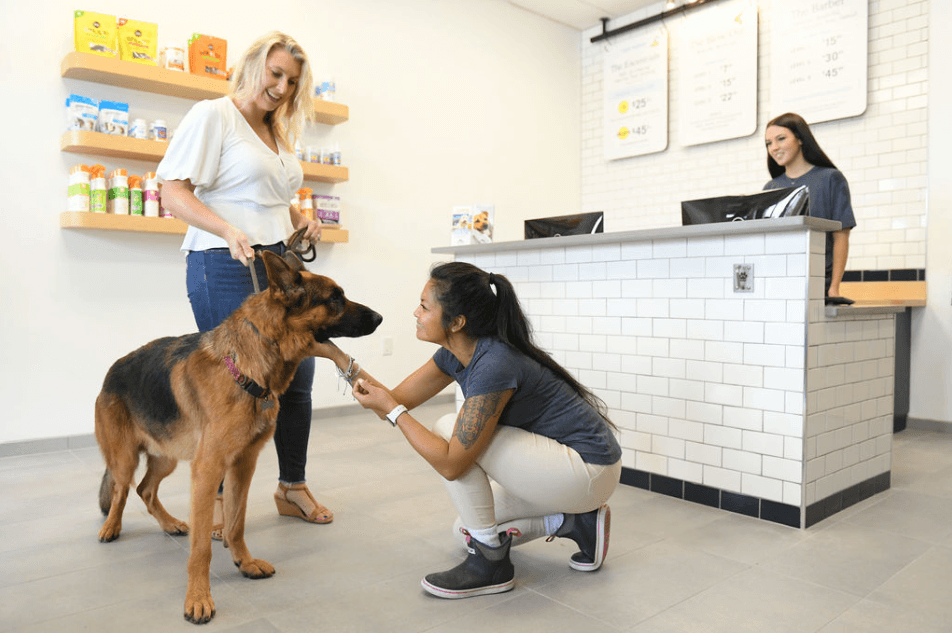 Scenthound Portland Cedar Mill - Pet groomer in Portland, OR