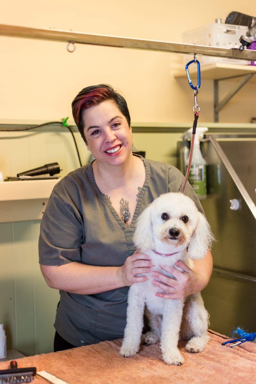 Pet's General Store - Pet groomer in Lakewood, OH